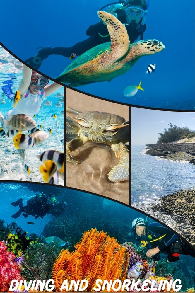 Diving and Snorkeling