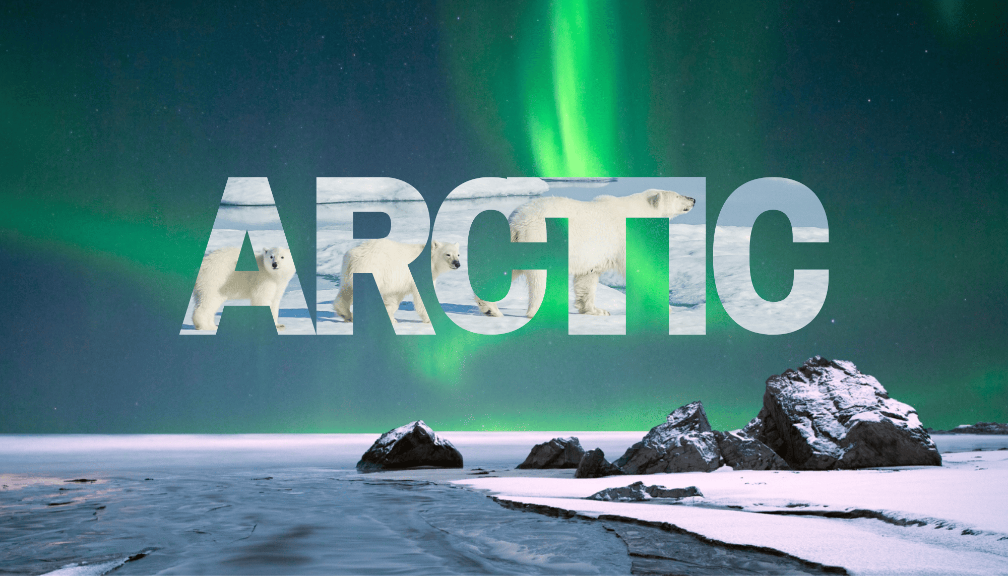 Arctic landscape with snow and ice, rocks, northern lights, and the word 'ARCTIC' filled with images of polar bears.