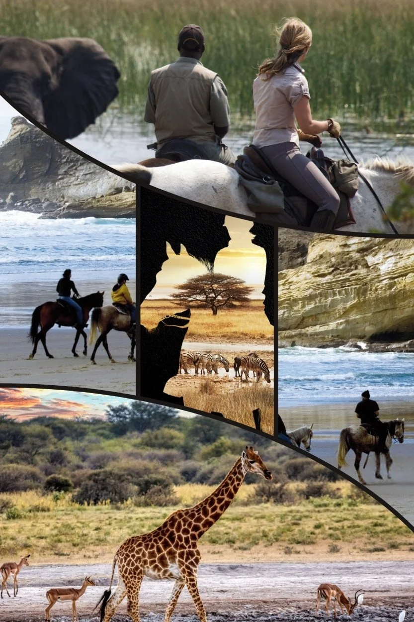 9.16 Horse Rides.jpg