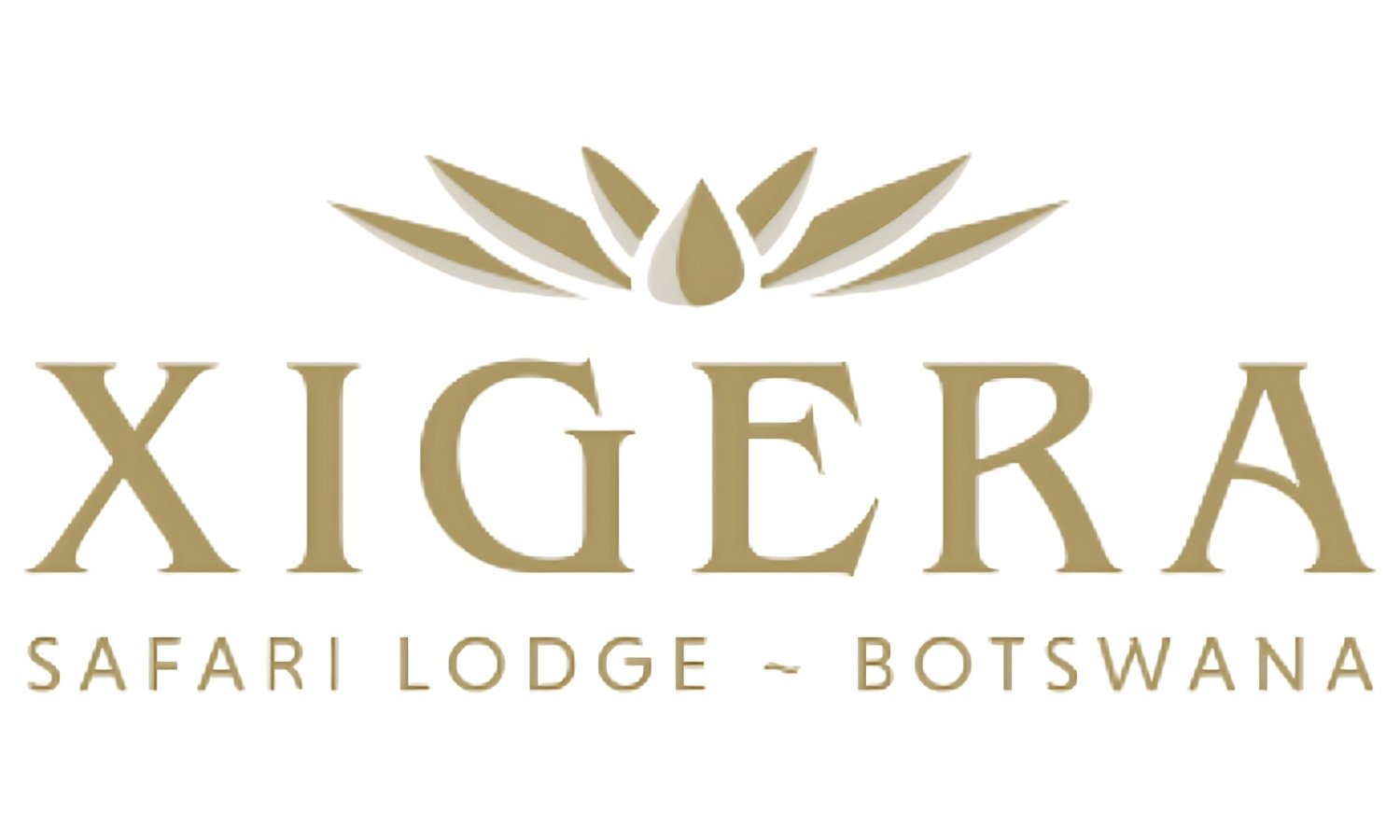 Safari Xigera