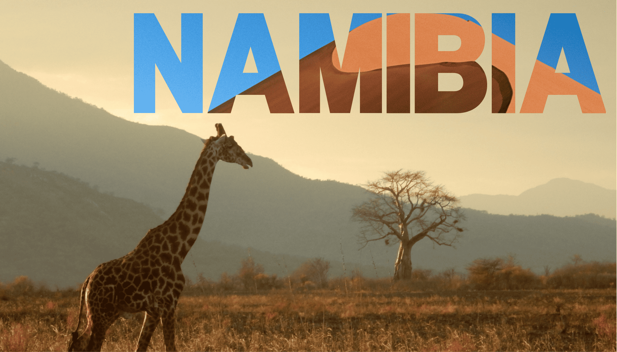 A giraffe standing in the African savannah with a tree and mountains in the background during sunset, overlaid with the text 'NAMIBIA' in large, bold letters.