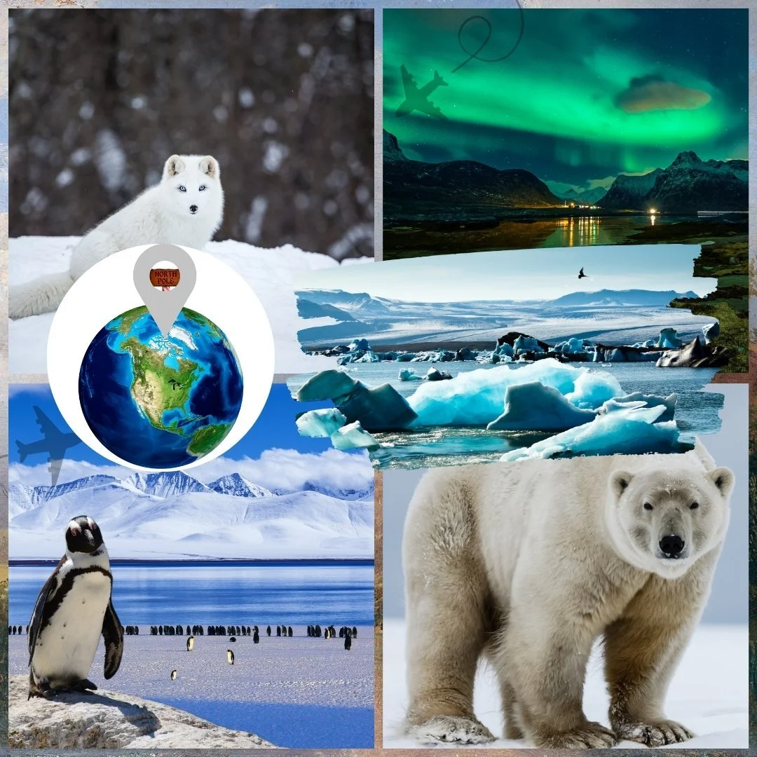 9.03 Arctic.jpg