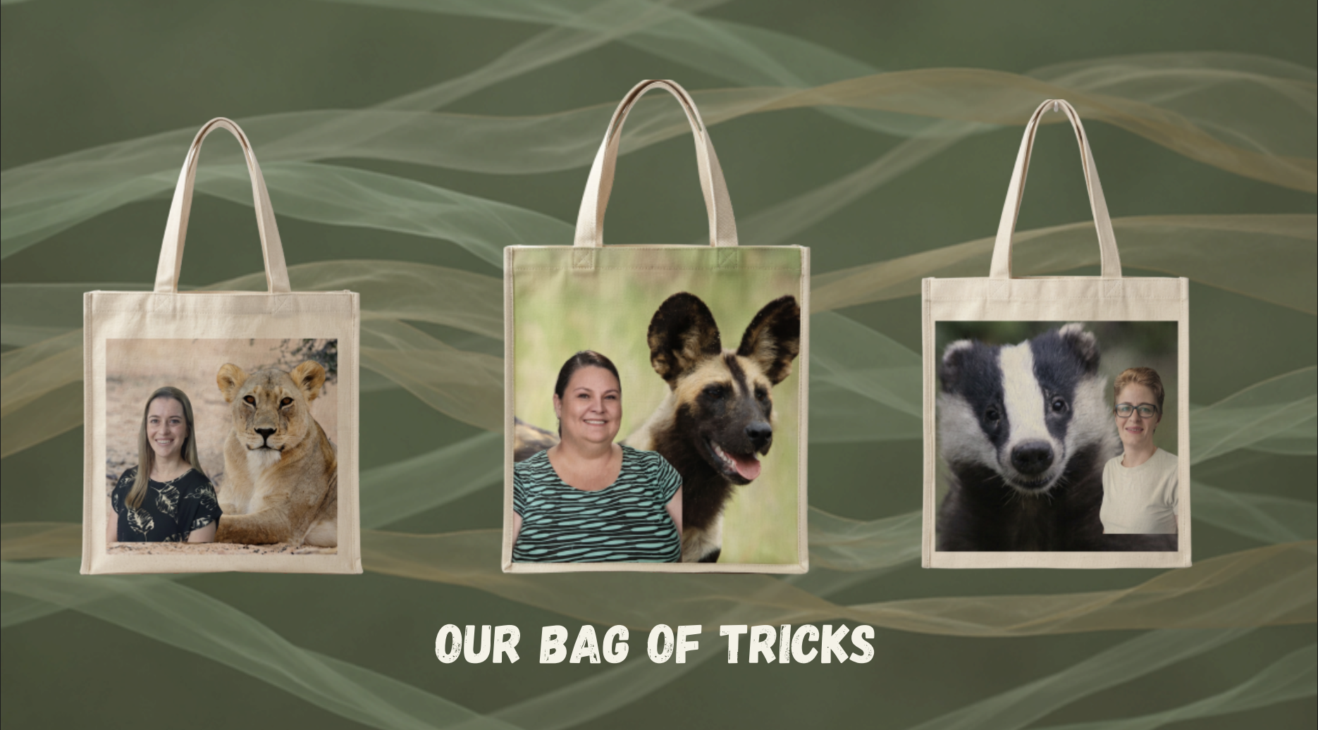 Three tote bags with photos of women and animals on a green background. The left bag shows a woman with a lion cub, the middle bag shows a woman with an African wild dog, and the right bag shows a woman with a raccoon. The text "OUR BAG OF TRICKS" is at the bottom.
