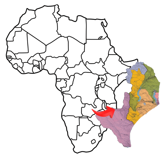Zambia