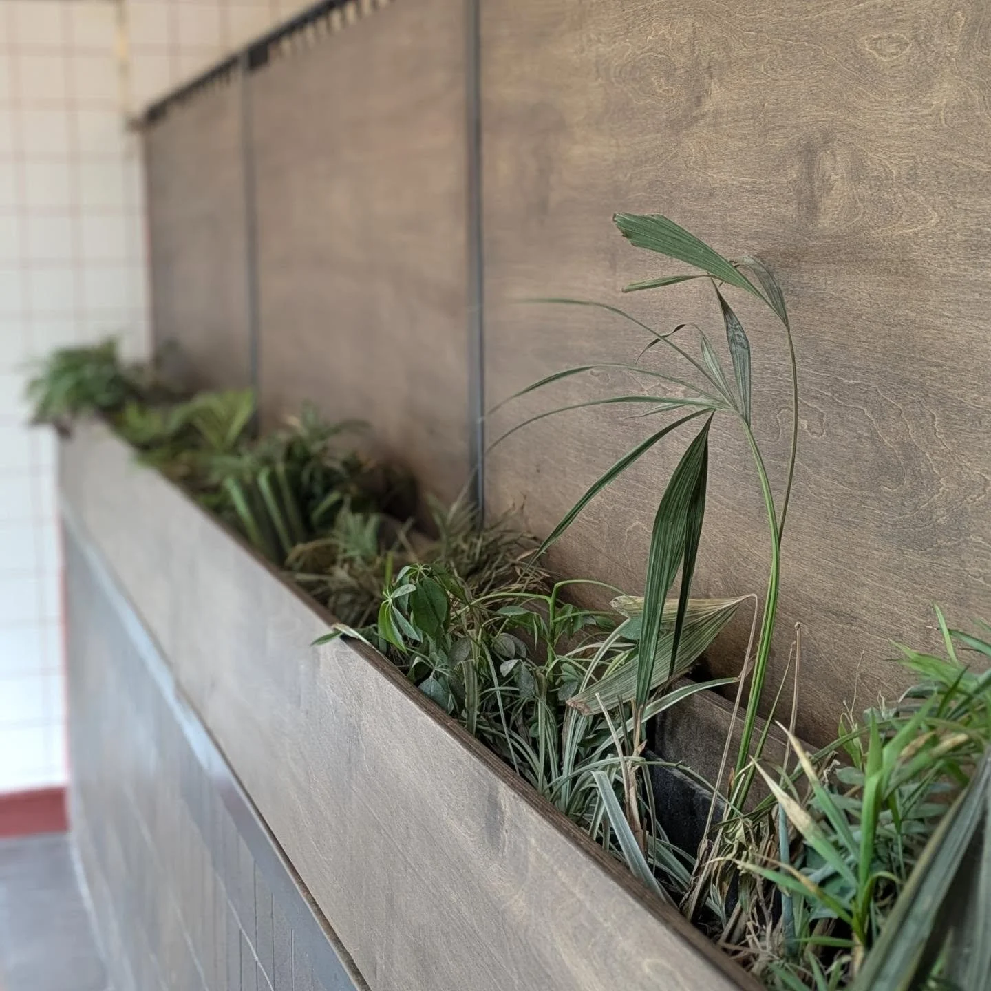 Shop refurbishment @saltpeppermcr 

Birch plywood + Osmo + delicious chicken! 💯

A lovely little job helping create more space and seating in the venue. 

Stained beautifully by @edv_designs 👌🏼
Designed by Kate Bond ☺️
Thanks to Ric Dean for bring