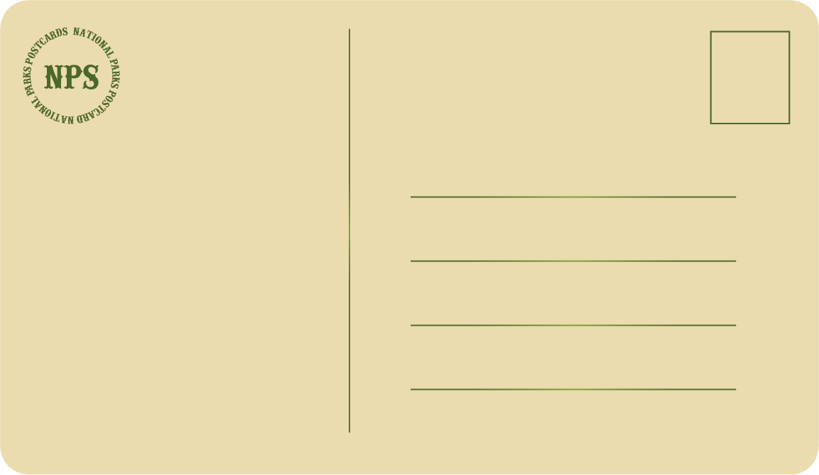 Asset 3.png