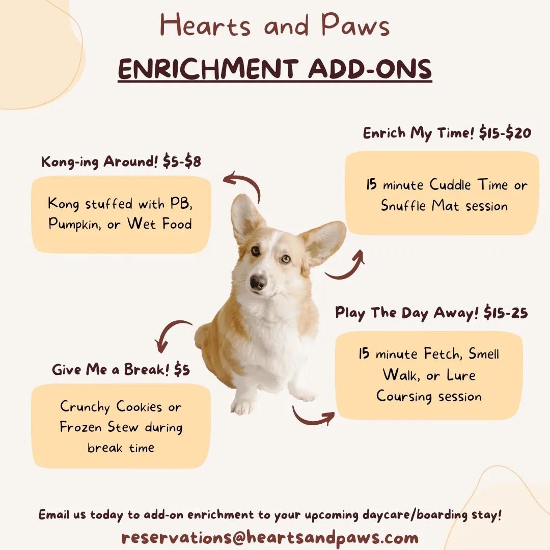 We are back up and running with our enrichment program and now we have more options than ever before!🎉

Email us today to add-on enrichment to your upcoming daycare or boarding stay! Your pup will thank you 😉
reservations@heartsandpaws.com