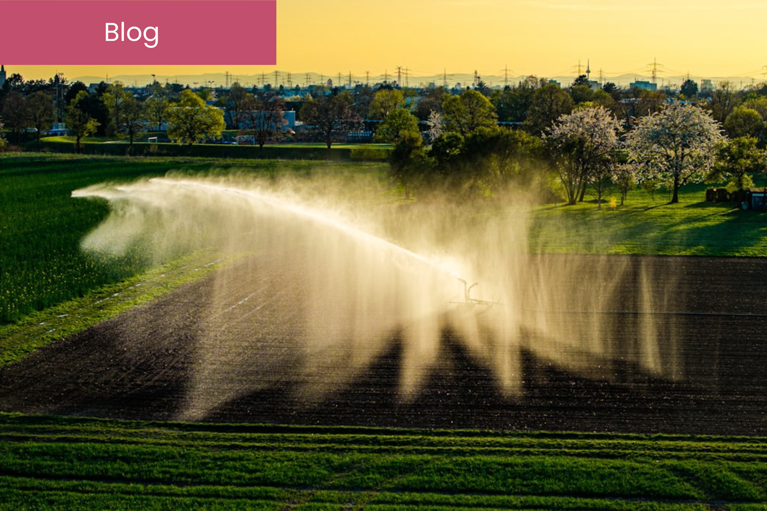 How Water Conservation Devices Support Smarter, Sustainable Buildings