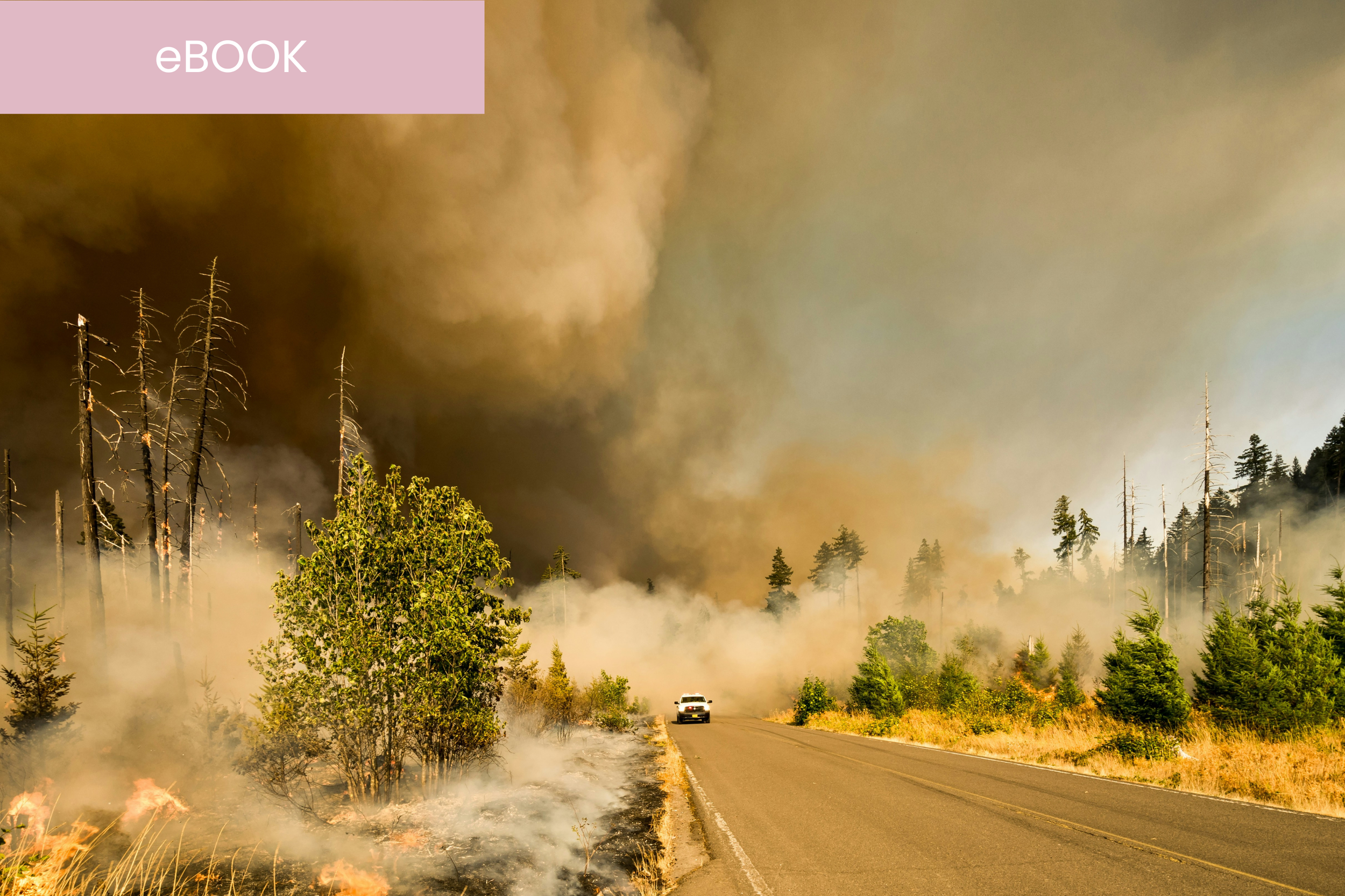 A Practical Guide to Keeping Schools Safe, Open, and Learning