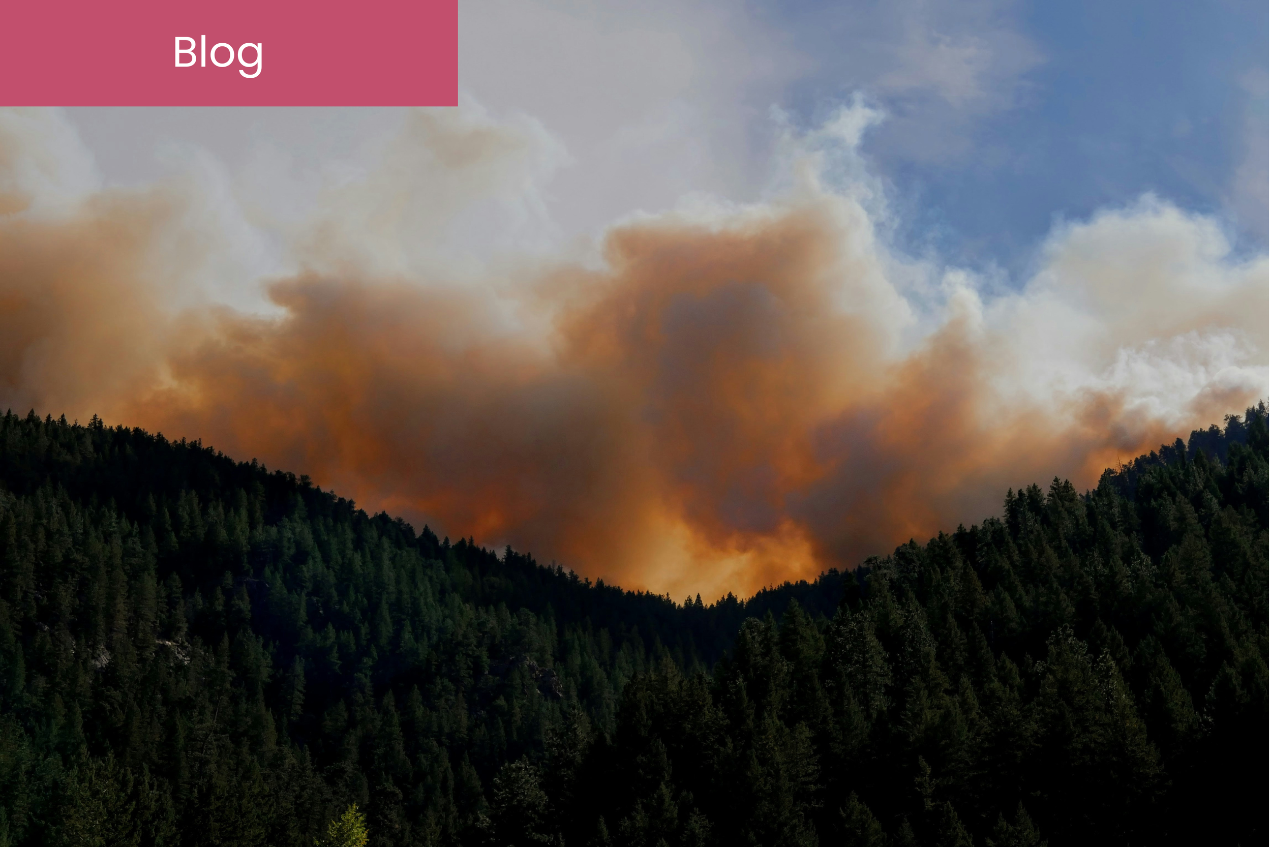 Wildfire Smoke and Indoor Air Quality: Protecting Occupant Health