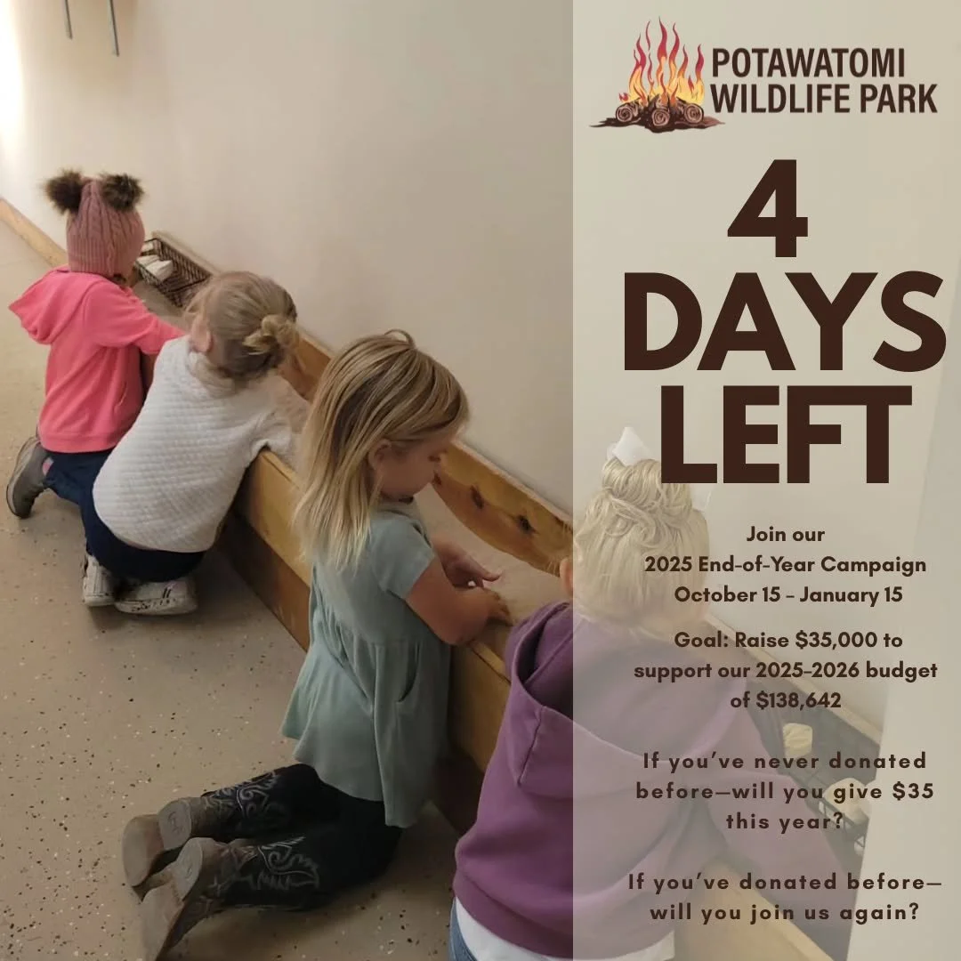 Donate Today: https://www.potawatomiwildlifepark.com/donate
