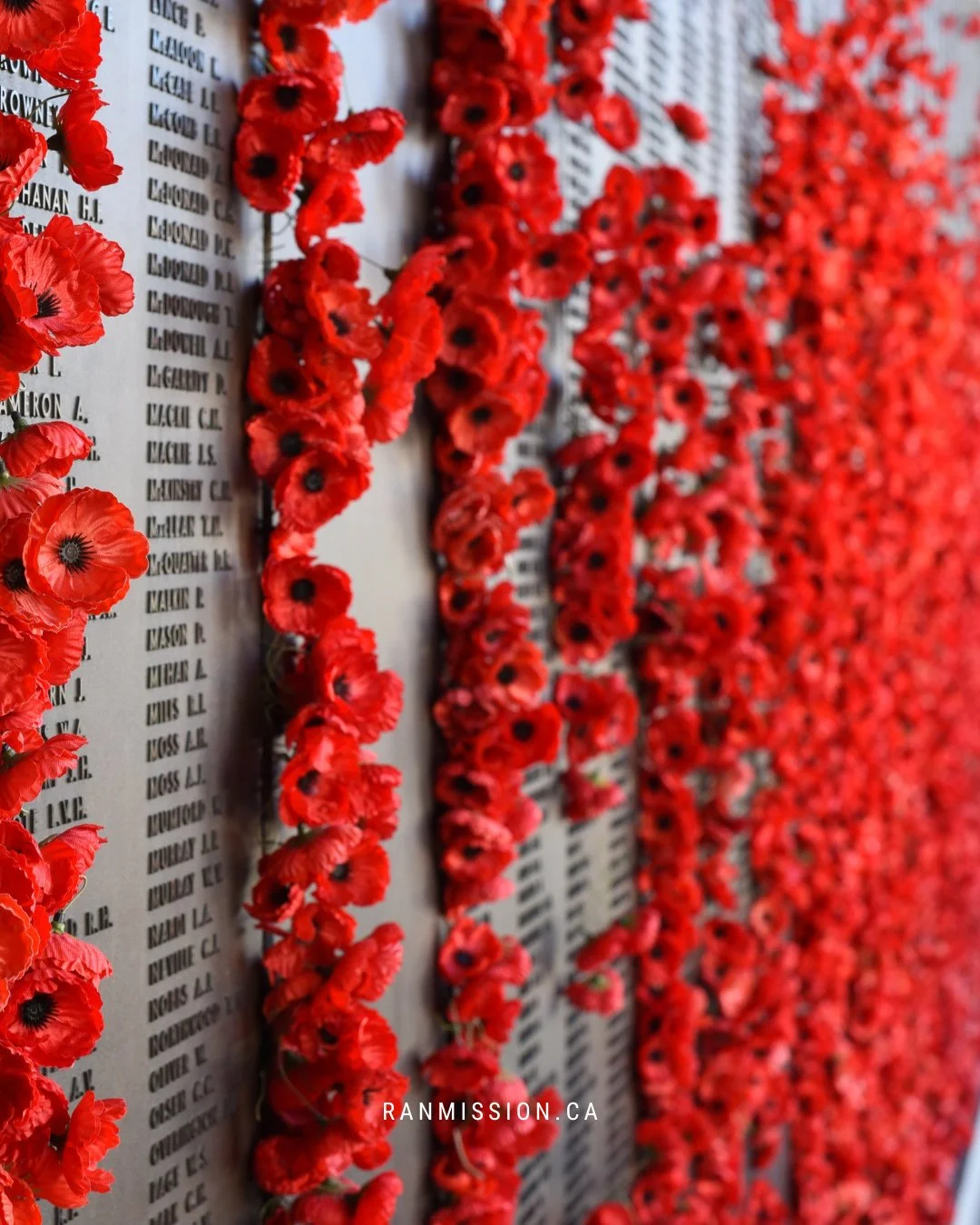 Today, we pause to remember, and to reflect on the courage, sacrifice, and unwavering spirit of those who served, and those who continue to serve. 🌺⁠
⁠
Their bravery shaped the freedom we know today, and their legacy lives on in every act of kindnes