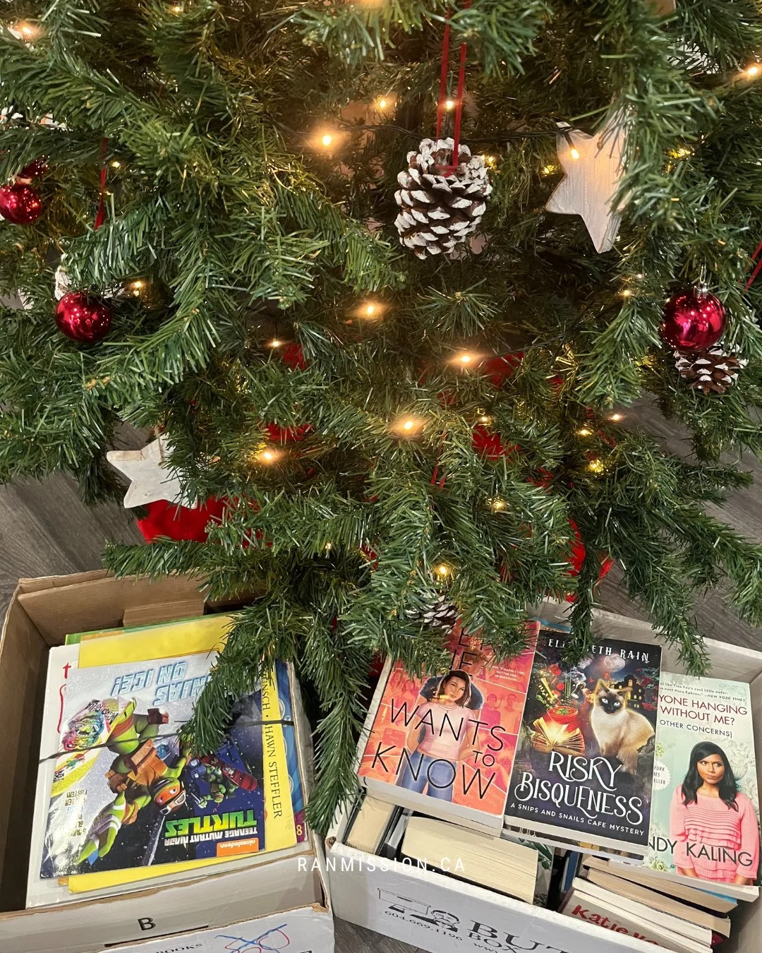 A huge thank you to Chilliwack Learning Society and Rotary for donating books for the kids in our Family Centre this Christmas!🎄📚​⁠
⁠
Your generosity helps bring the joy of reading to our community and makes the season brighter for so many. 🧡​⁠
⁠
