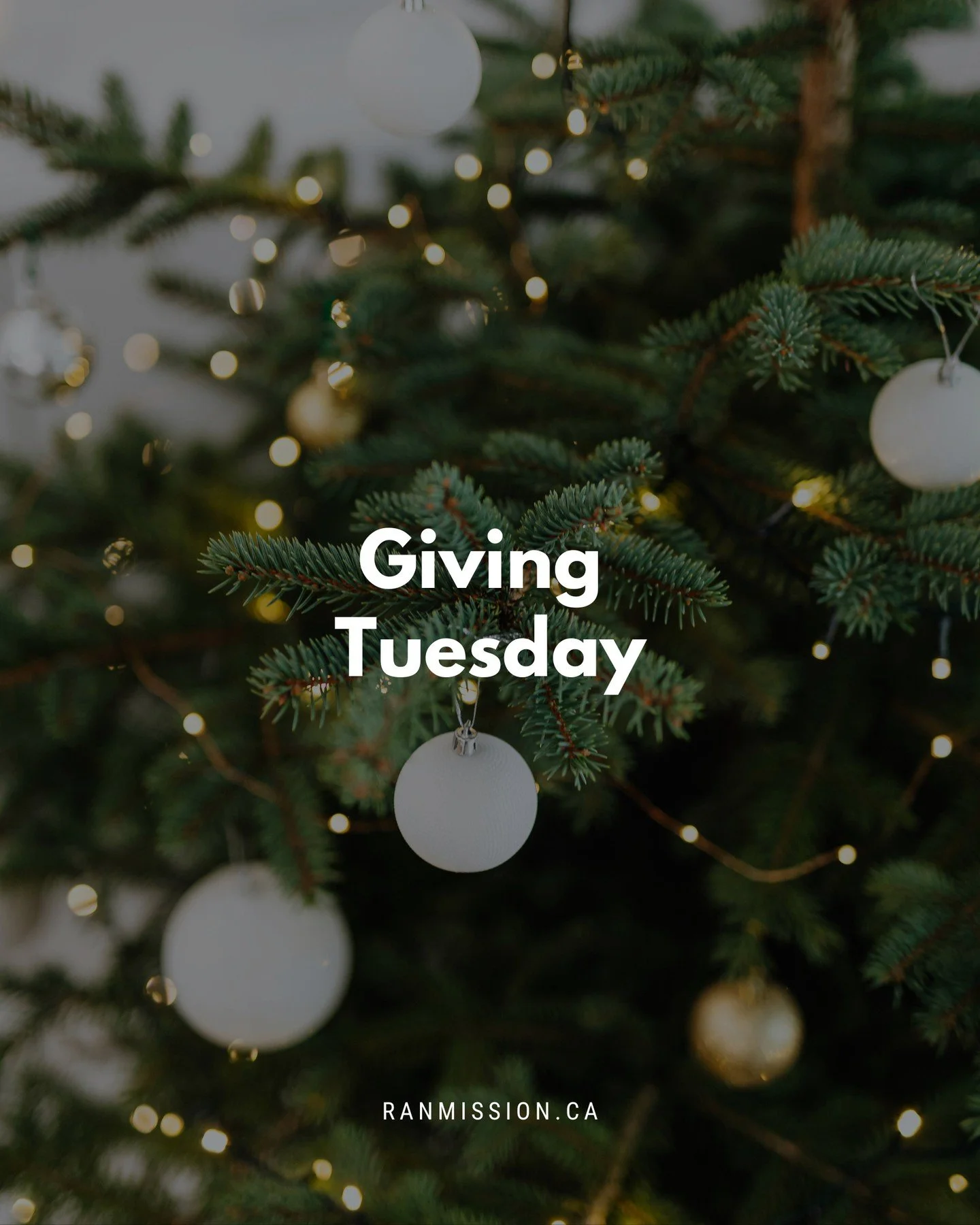 ✨ This Giving Tuesday, your generosity can change lives.⁠
⁠
When you purchase from our Christmas Gift Guide, you&rsquo;re not just giving a gift &ndash; you&rsquo;re supporting families, helping participants in recovery, and spreading hope throughout