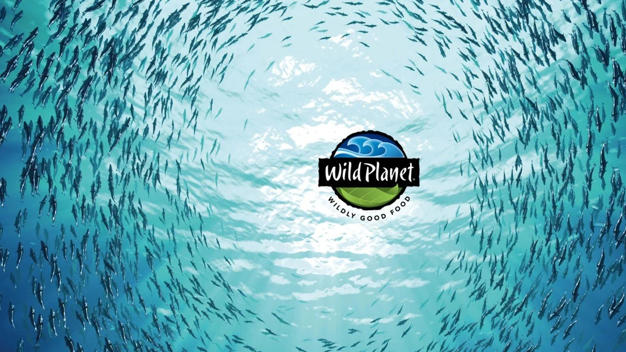 WP  Ocean.jpg