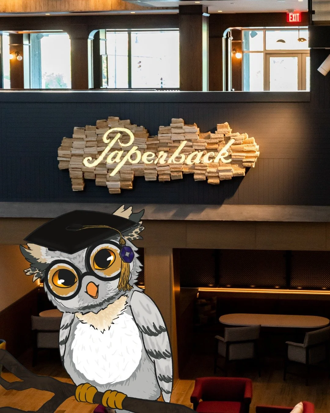 The votes are in and the name is set. Meet Hootie 🦉, the newest (and wisest) member of Paperback Tavern.