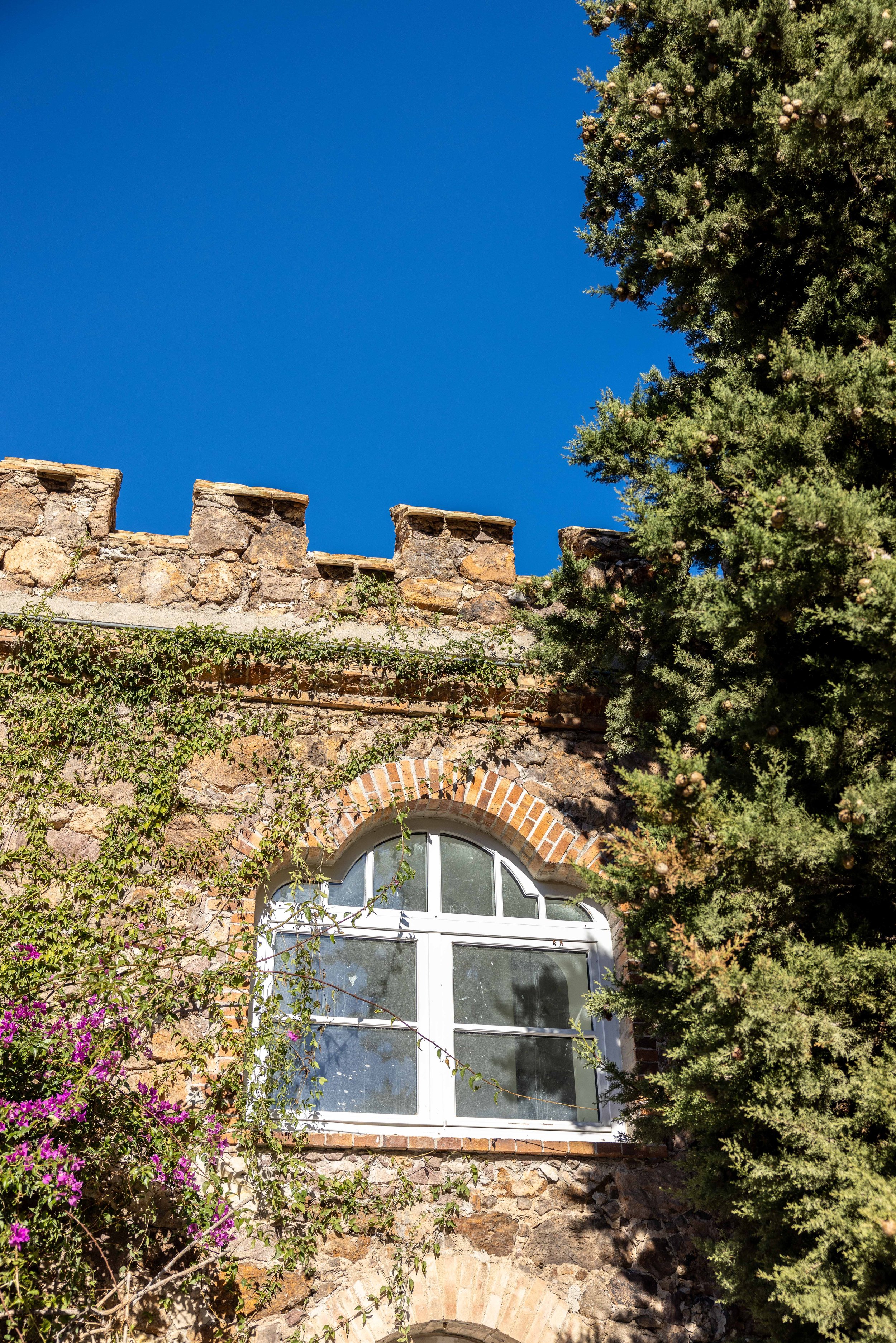 231205 Chateau de Theoule0372 Cedou.jpg