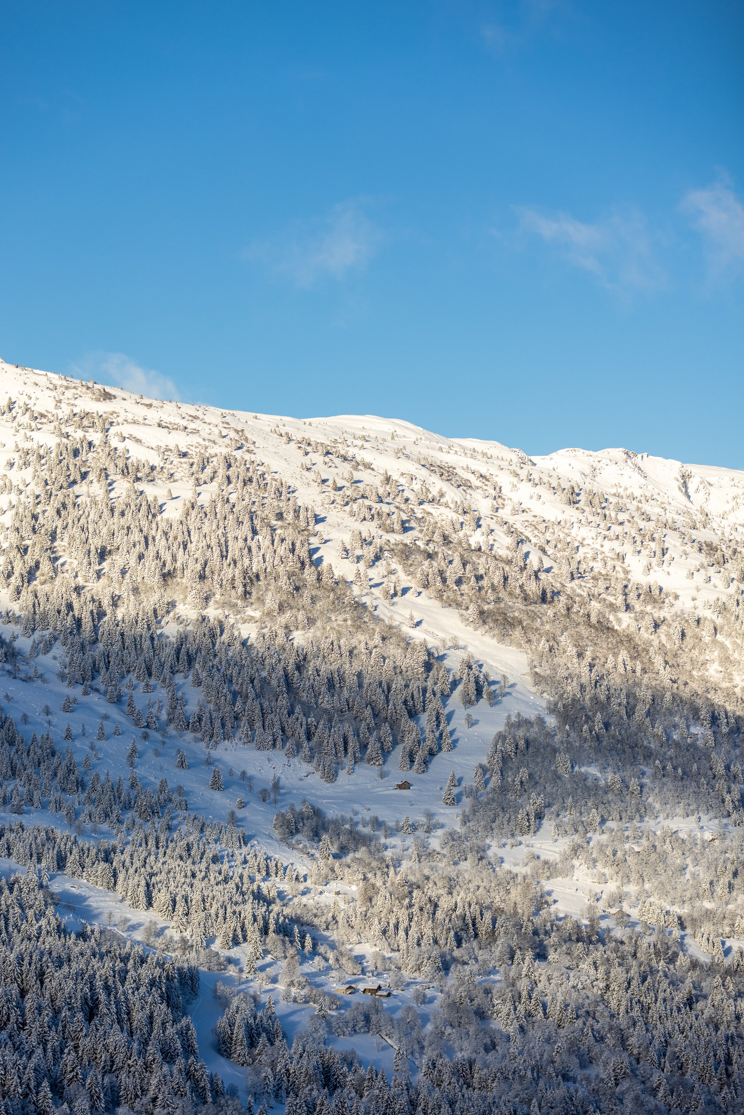 230111 Beef Bar Meribel -842 - Cedou.jpg