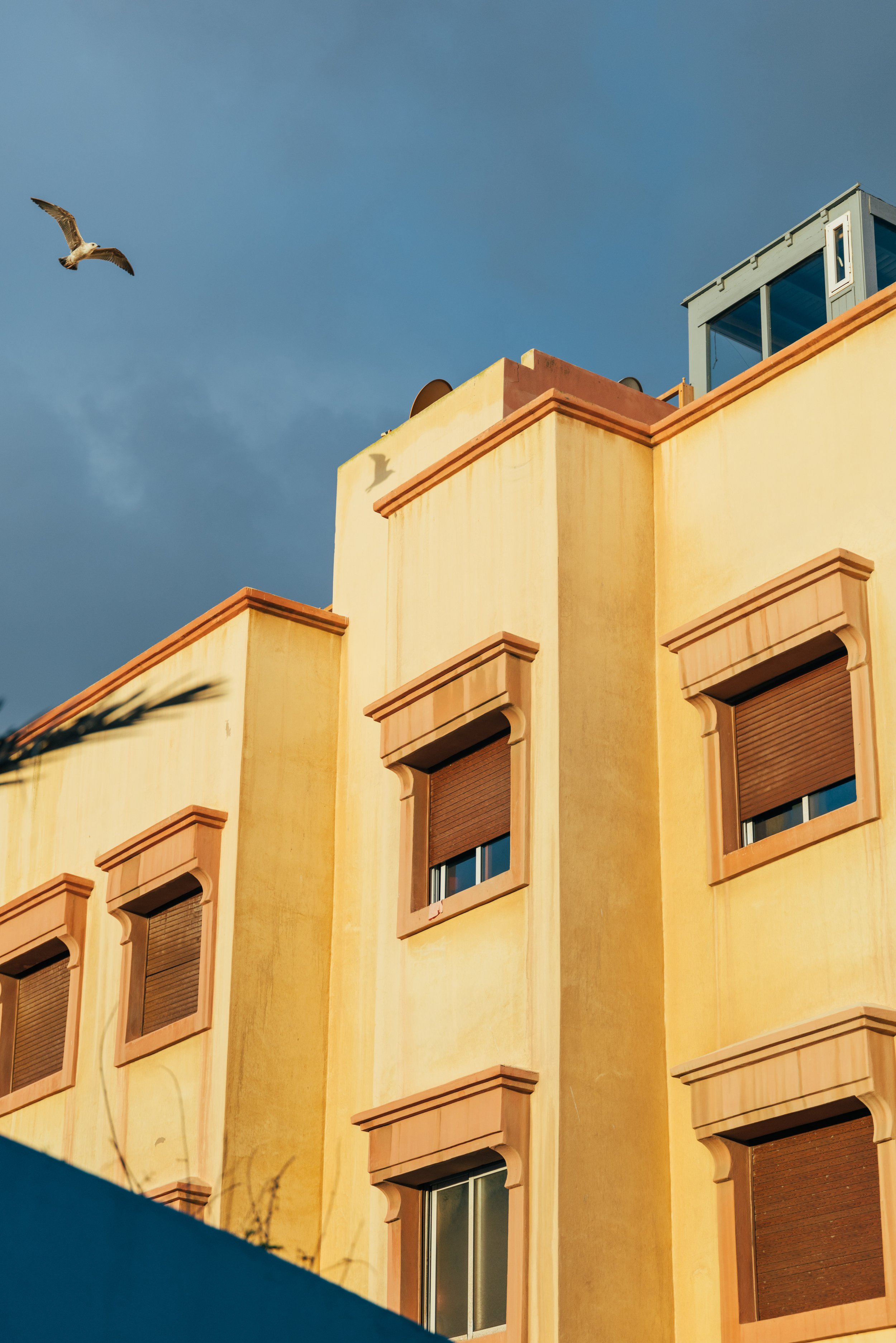 250315 Maroc0043 - Cedou.jpg