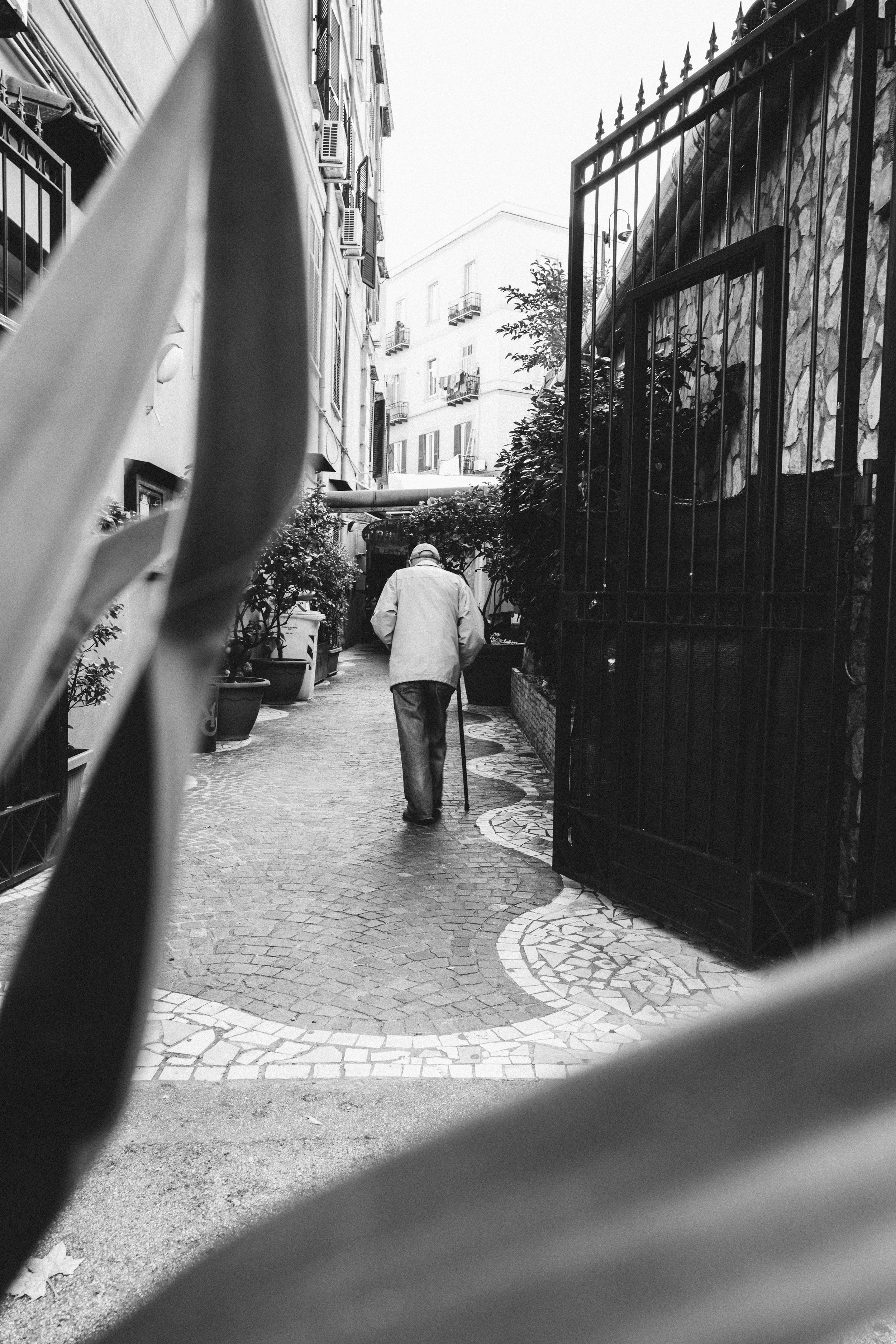221017 Napoli - Day 2024 - Cedou.jpg