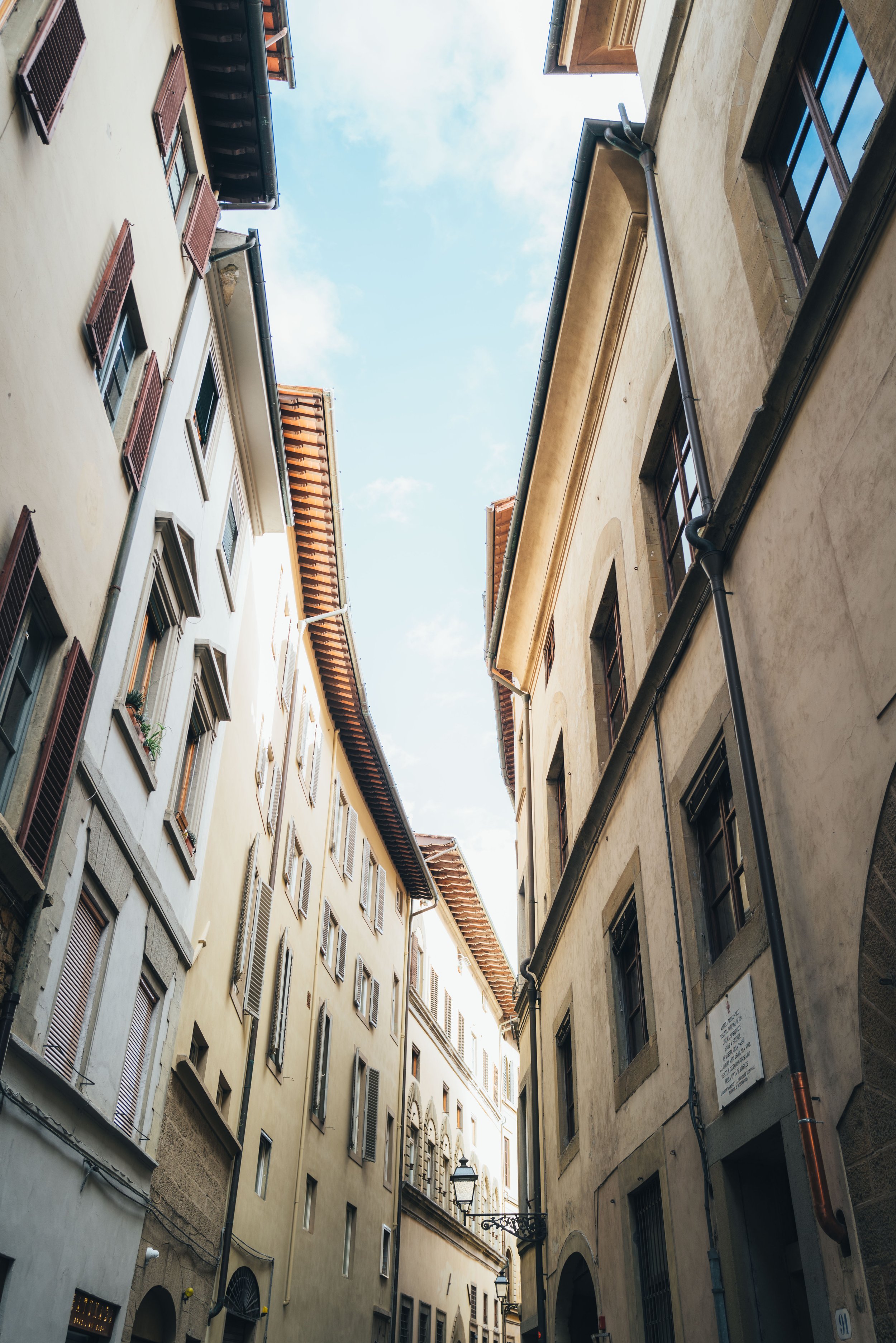 2024 Doux - Florence - 0085 - Cedou.jpg