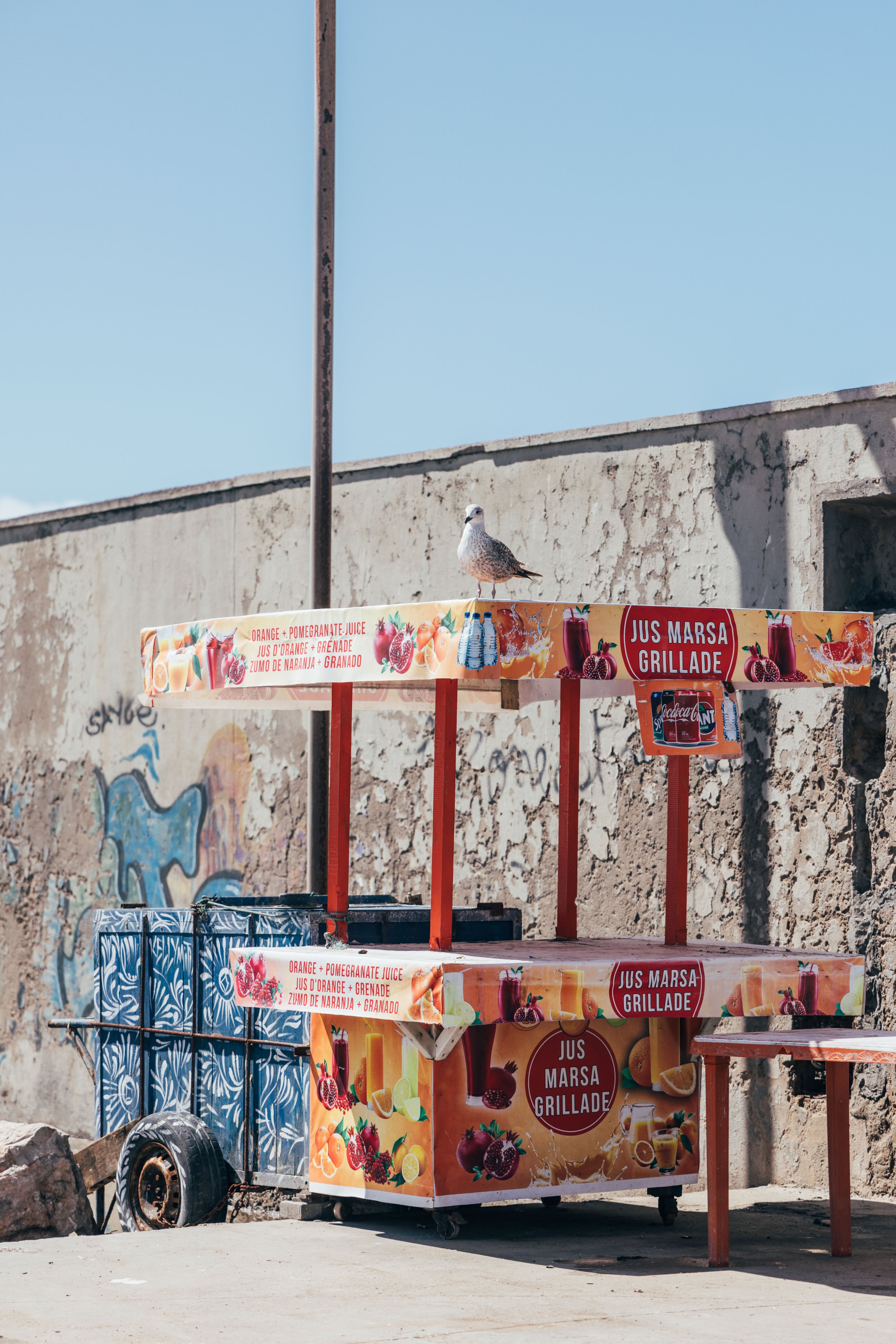250315 Maroc0132 - Cedou.jpg