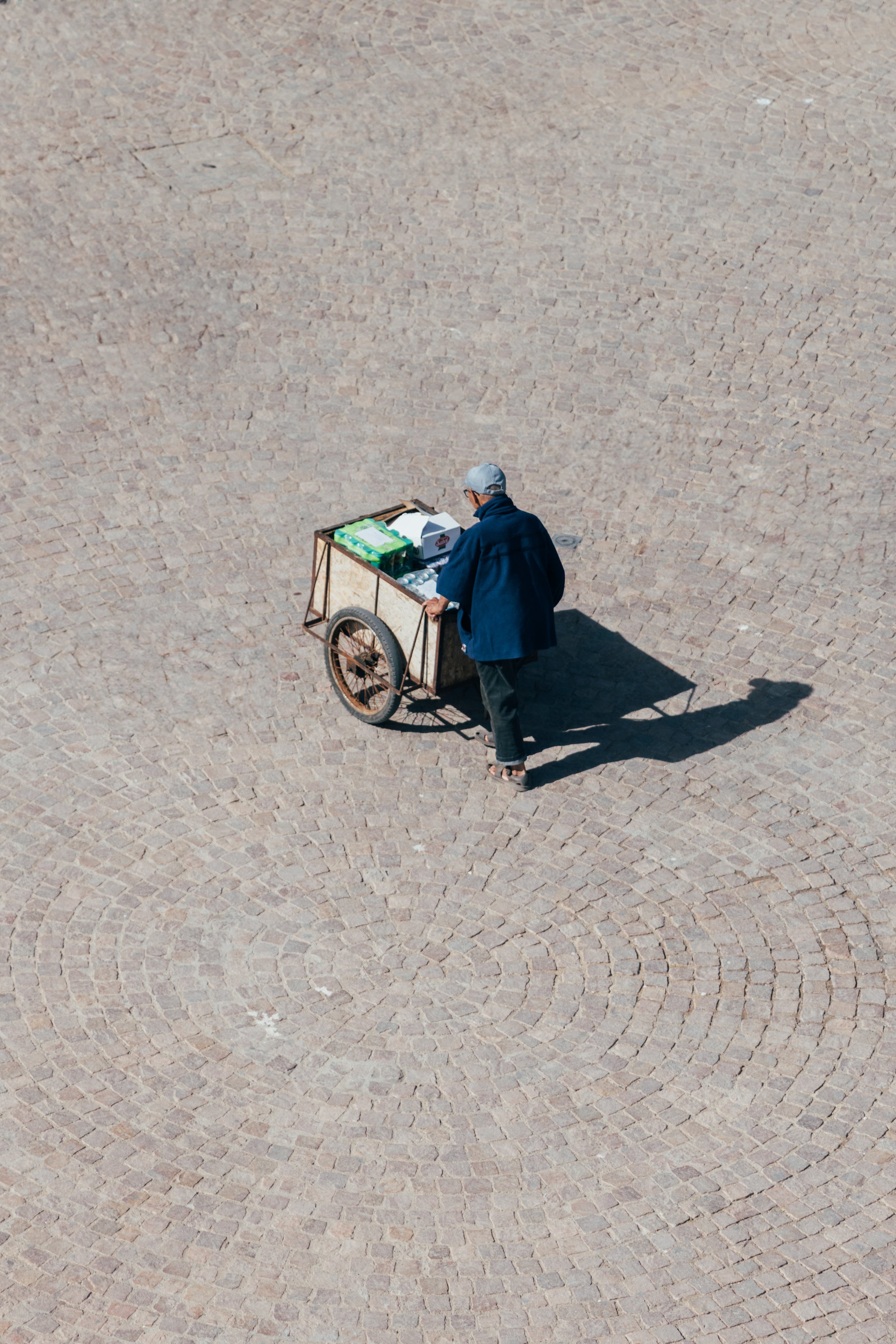 250315 Maroc0239 - Cedou.jpg