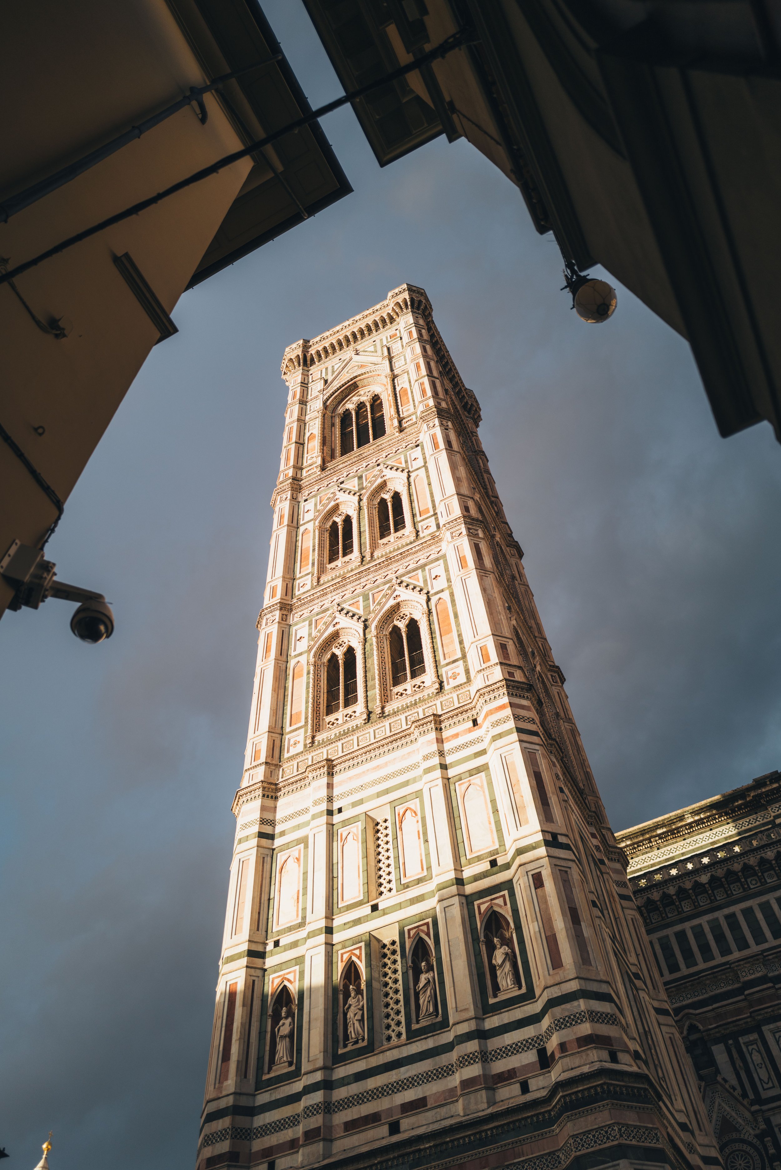 2024 Doux - Florence - 0125 - Cedou.jpg