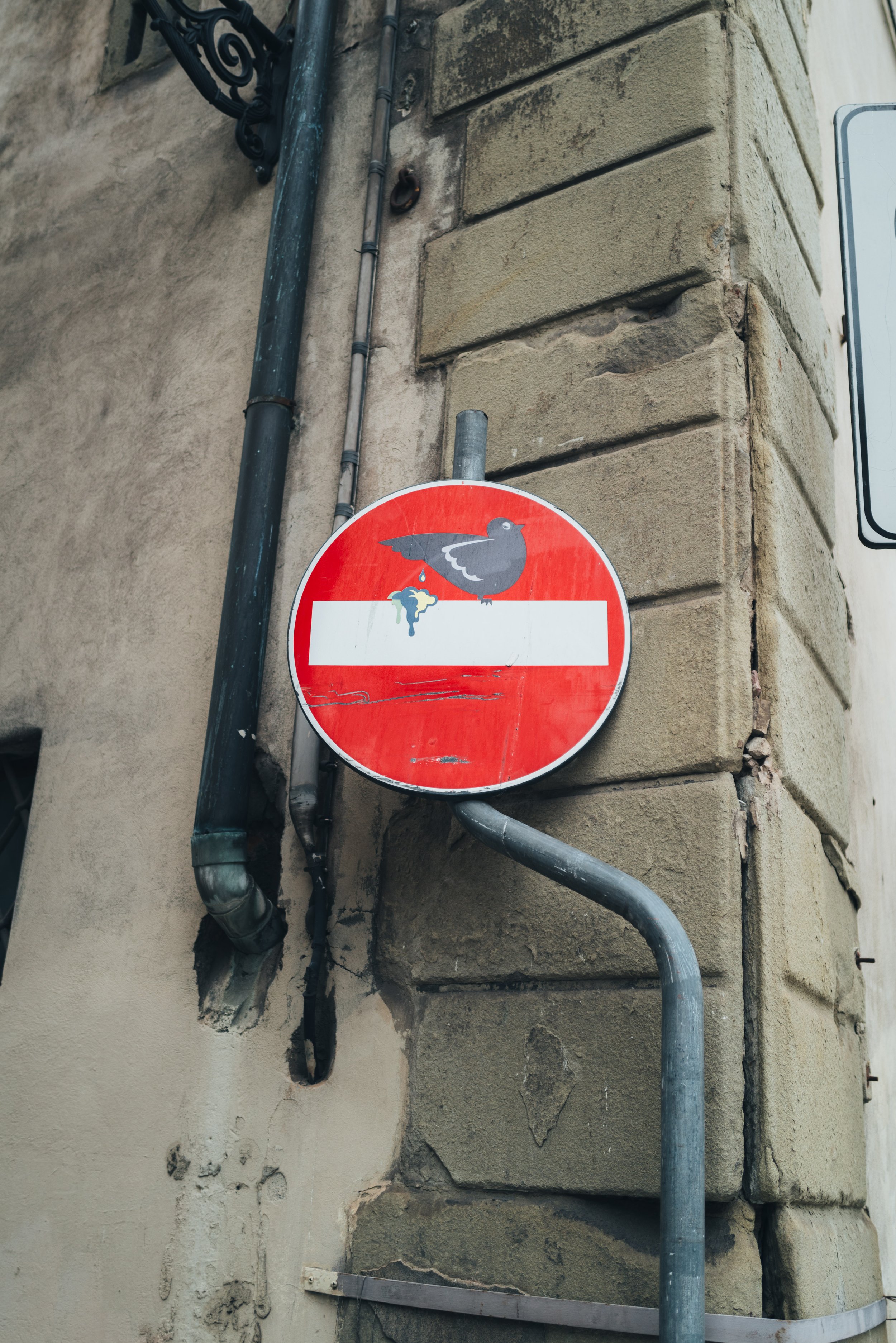 2024 Doux - Florence - 0116 - Cedou.jpg