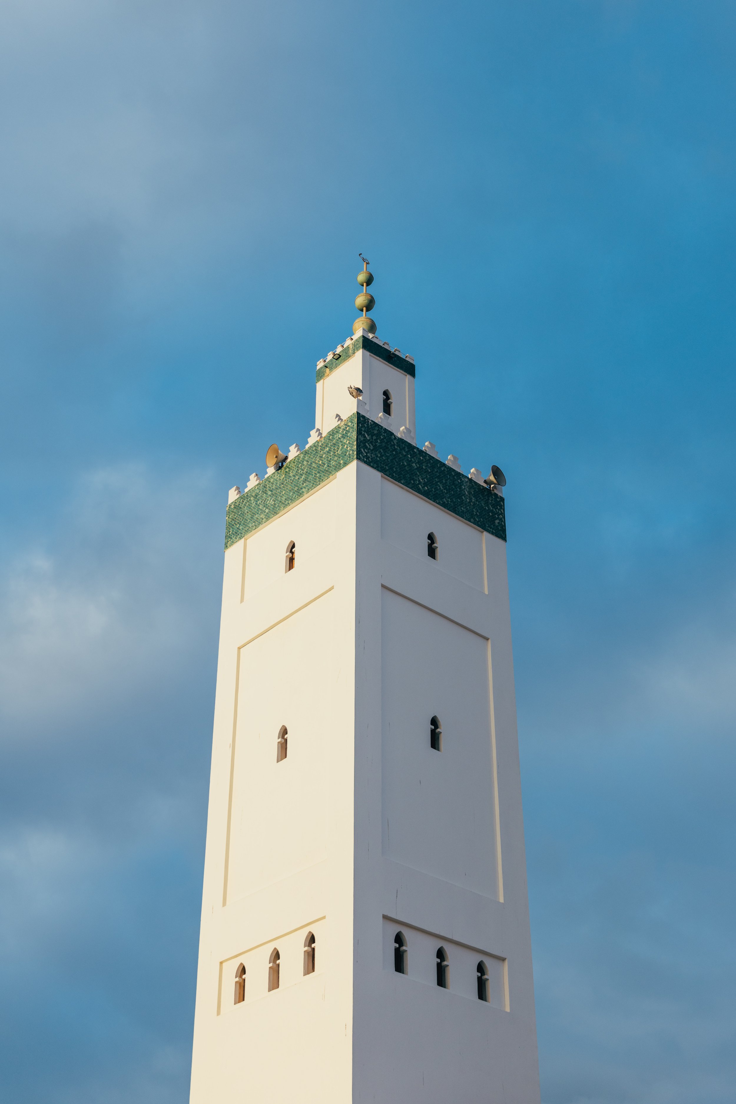 250315 Maroc0041 - Cedou.jpg