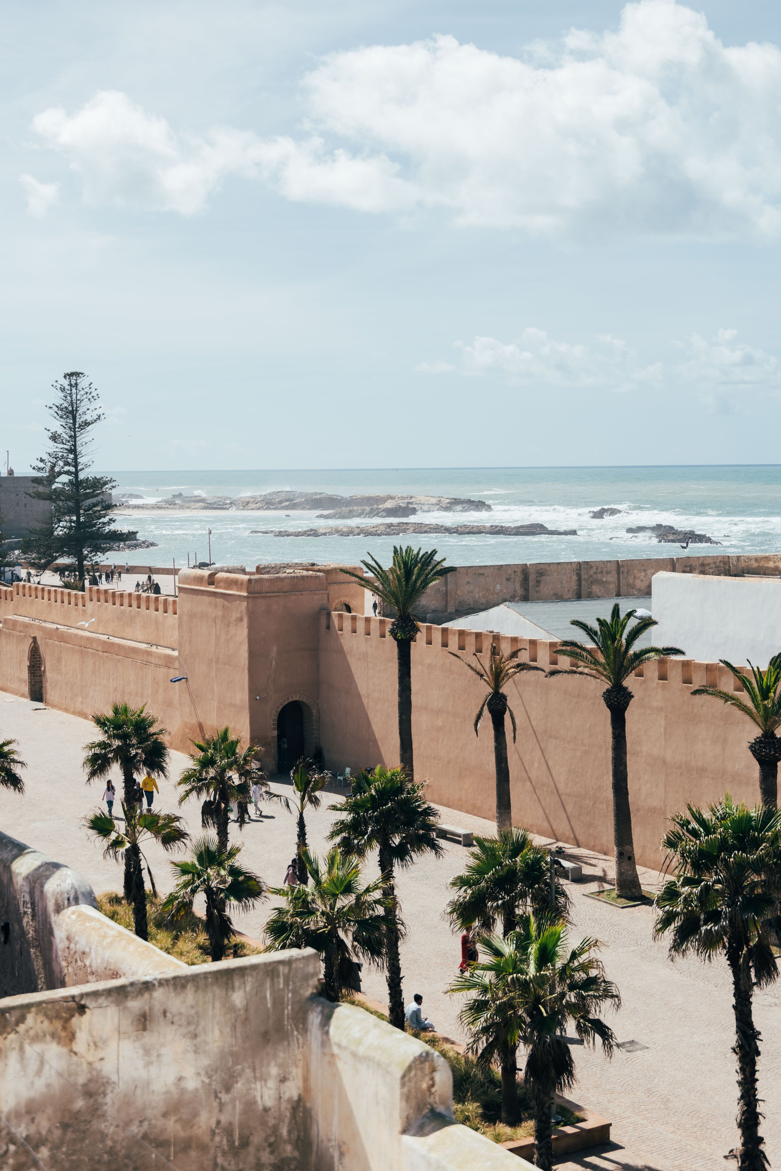 250315 Maroc0237 - Cedou.jpg