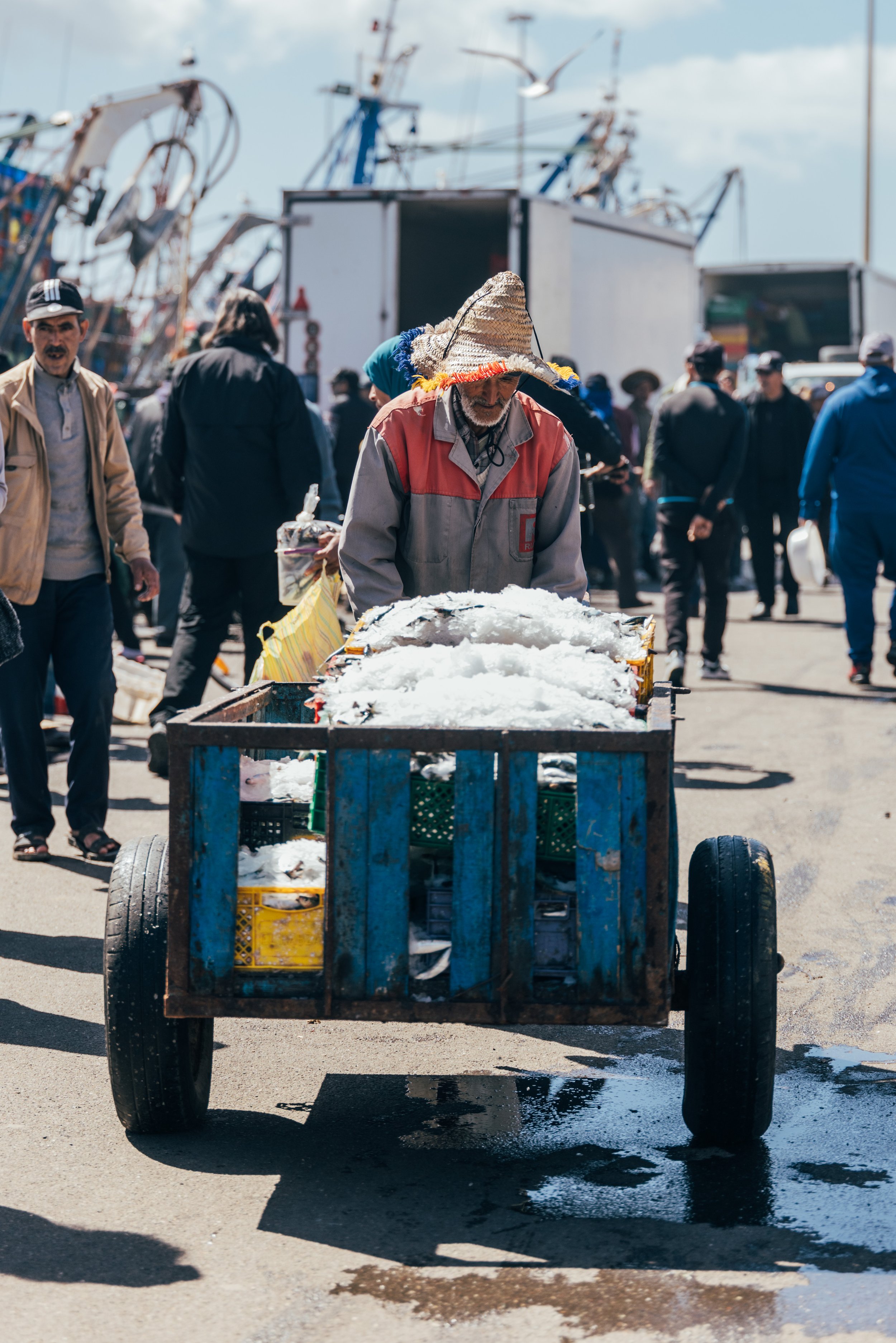 250315 Maroc0117 - Cedou.jpg