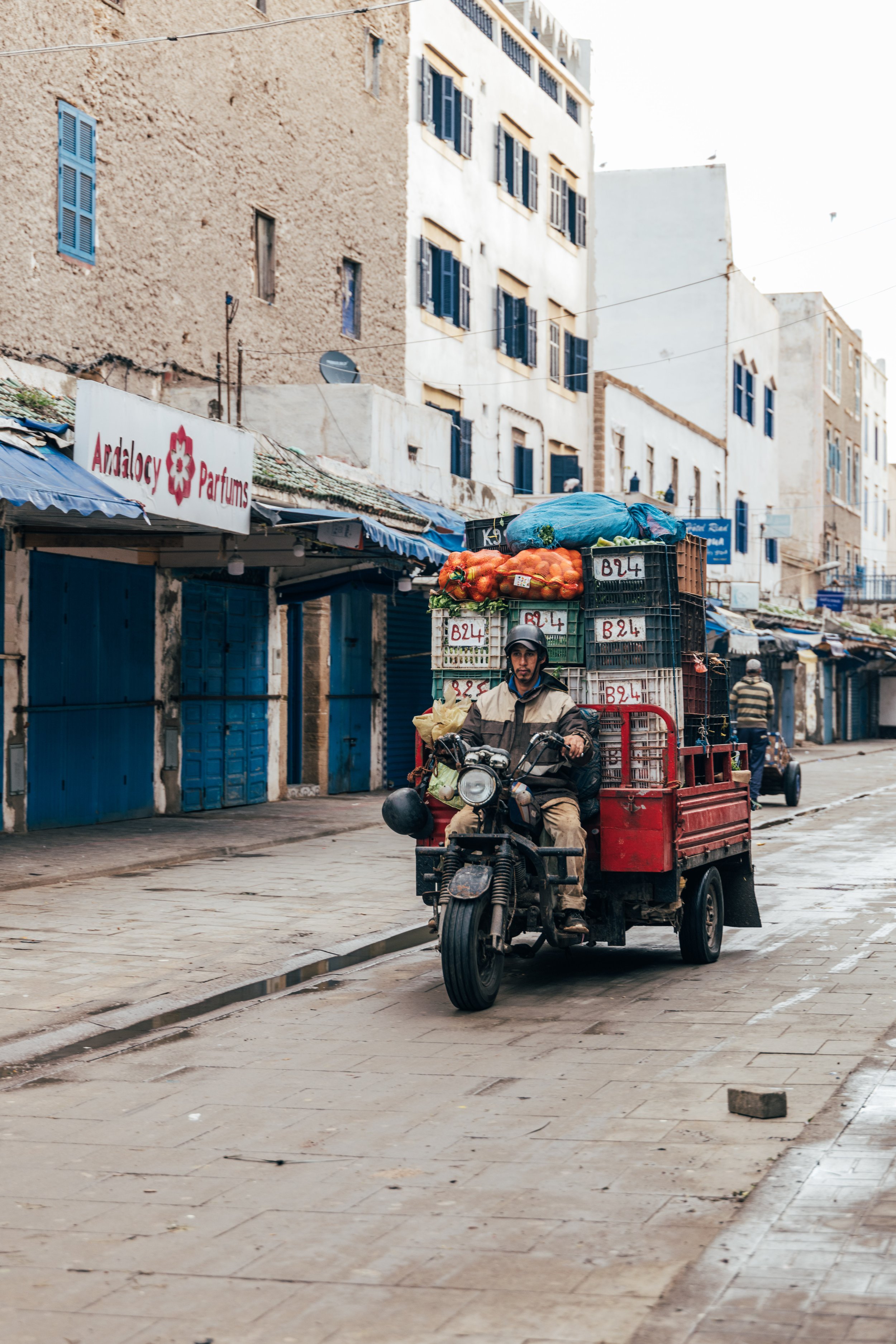 250315 Maroc0056 - Cedou.jpg