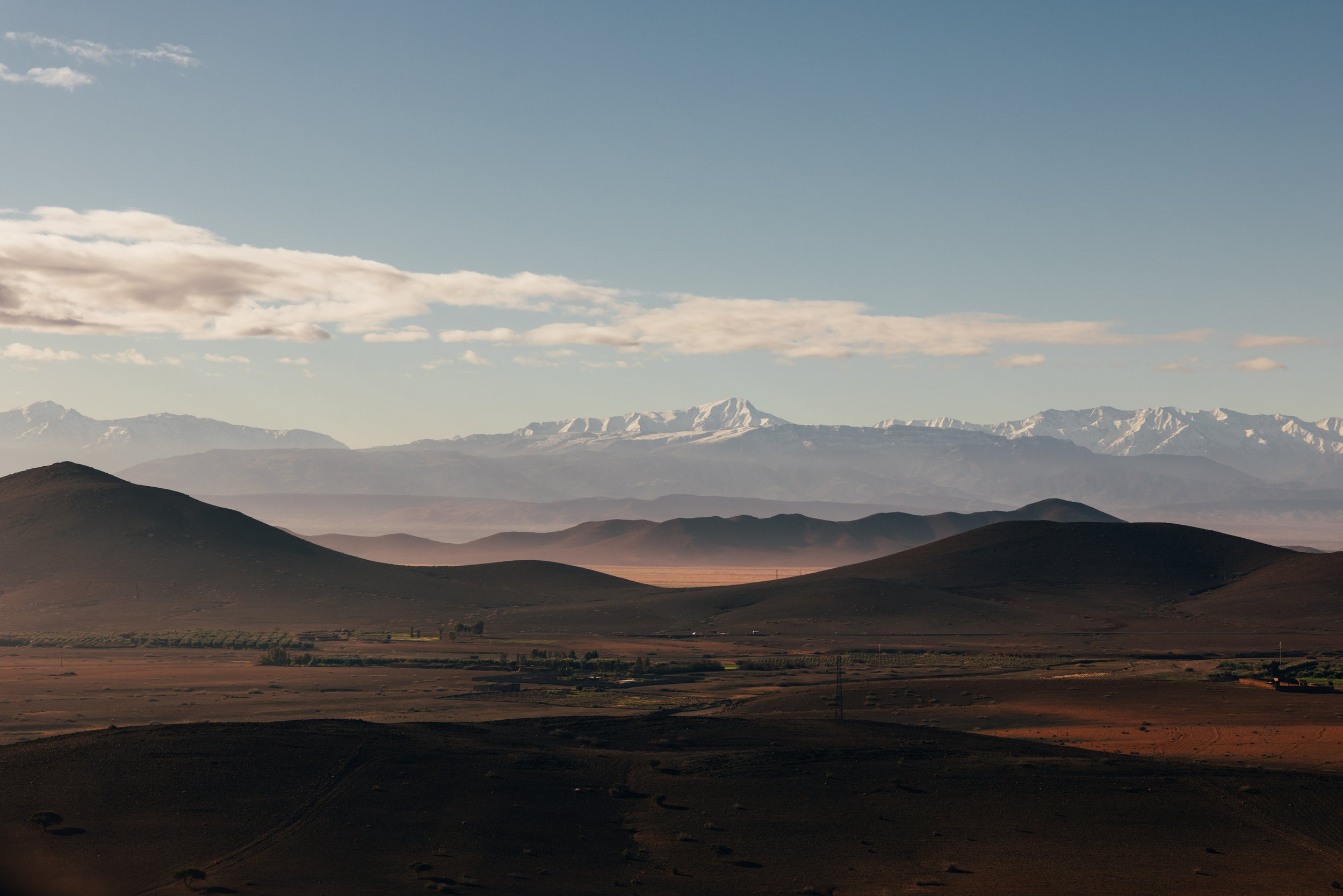 250315 Maroc0368 - Cedou.jpg