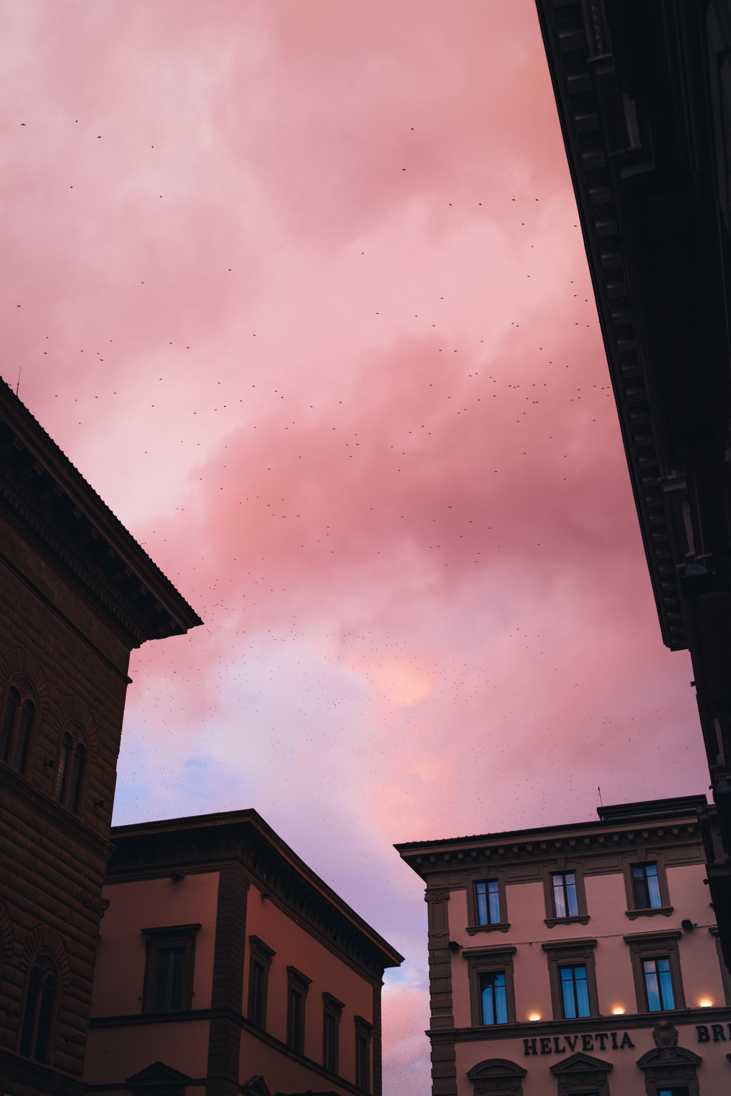 2024 Doux - Florence - 0139 - Cedou.jpg