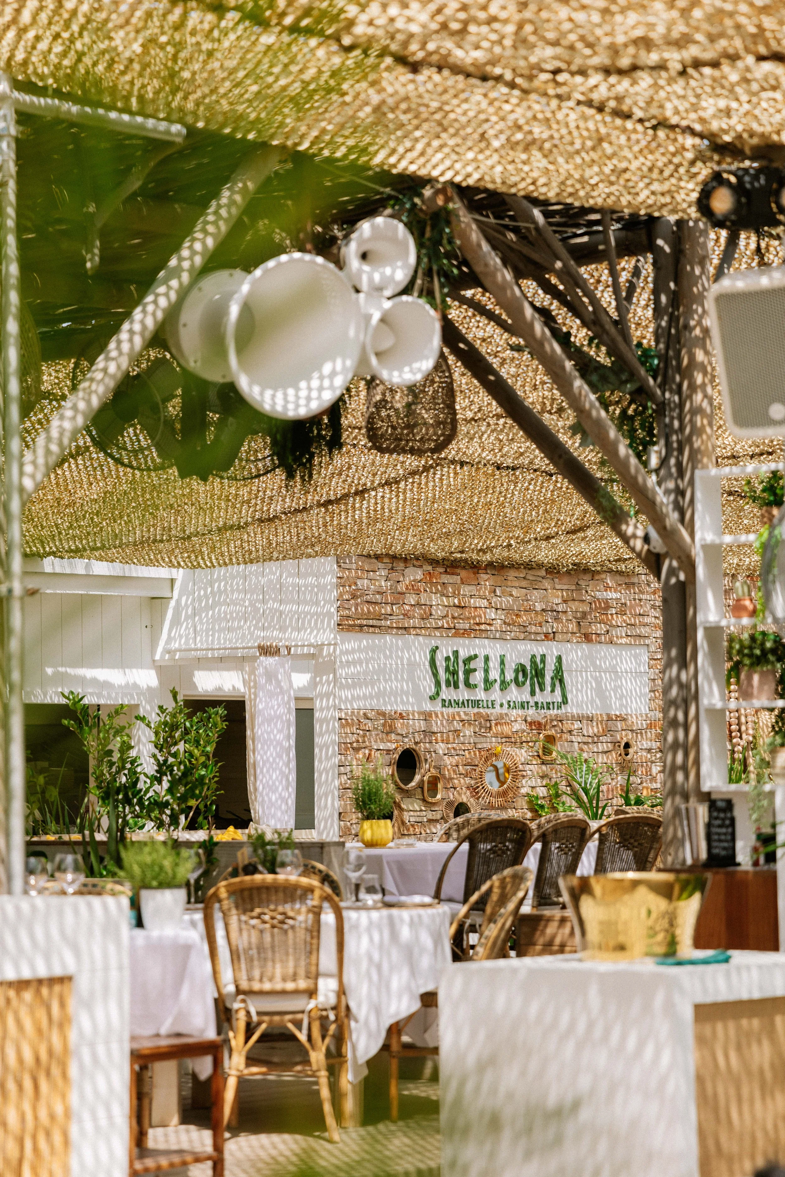250612 Shellona -0175 - Cedou.jpg