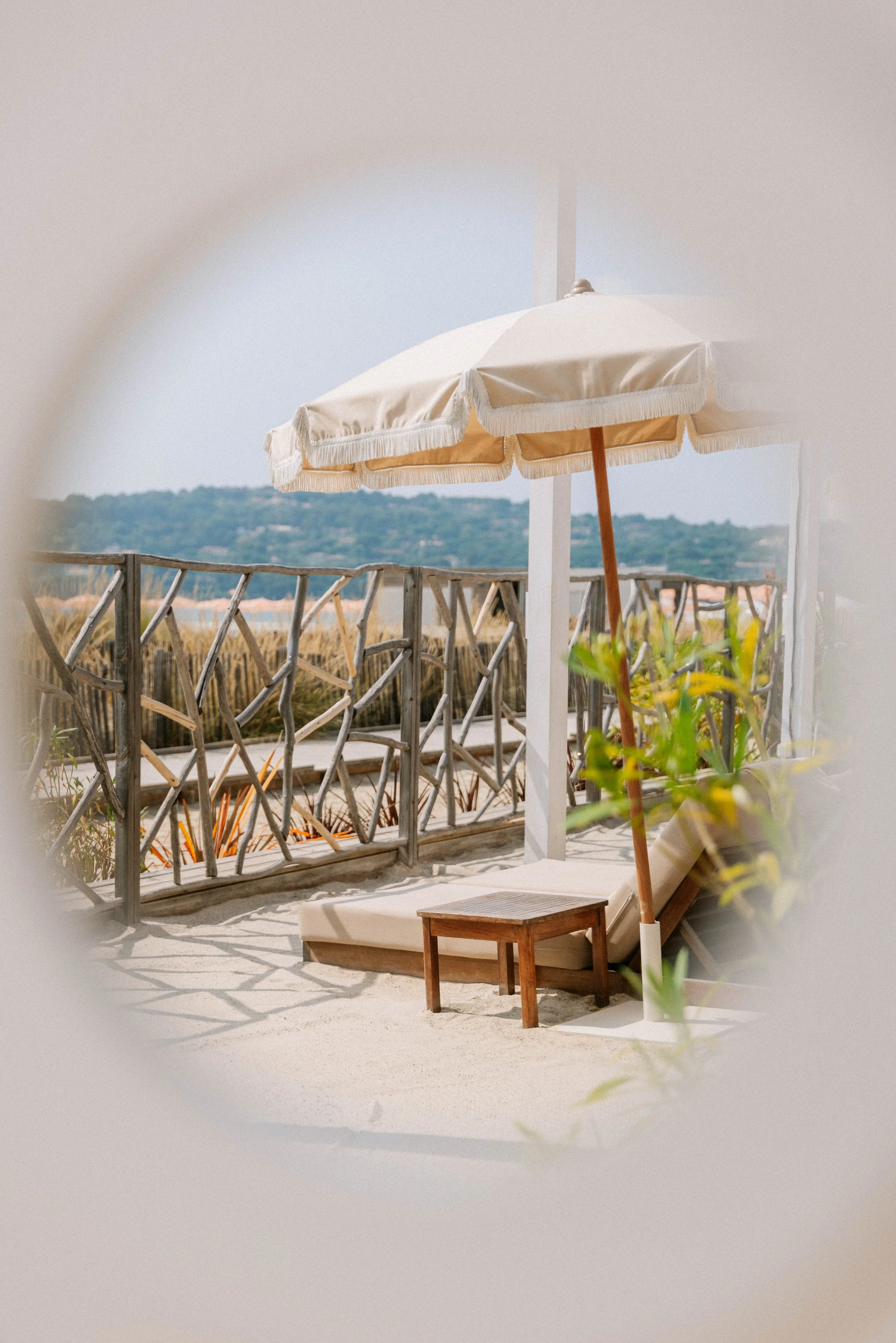 250612 Shellona -0034 - Cedou.jpg