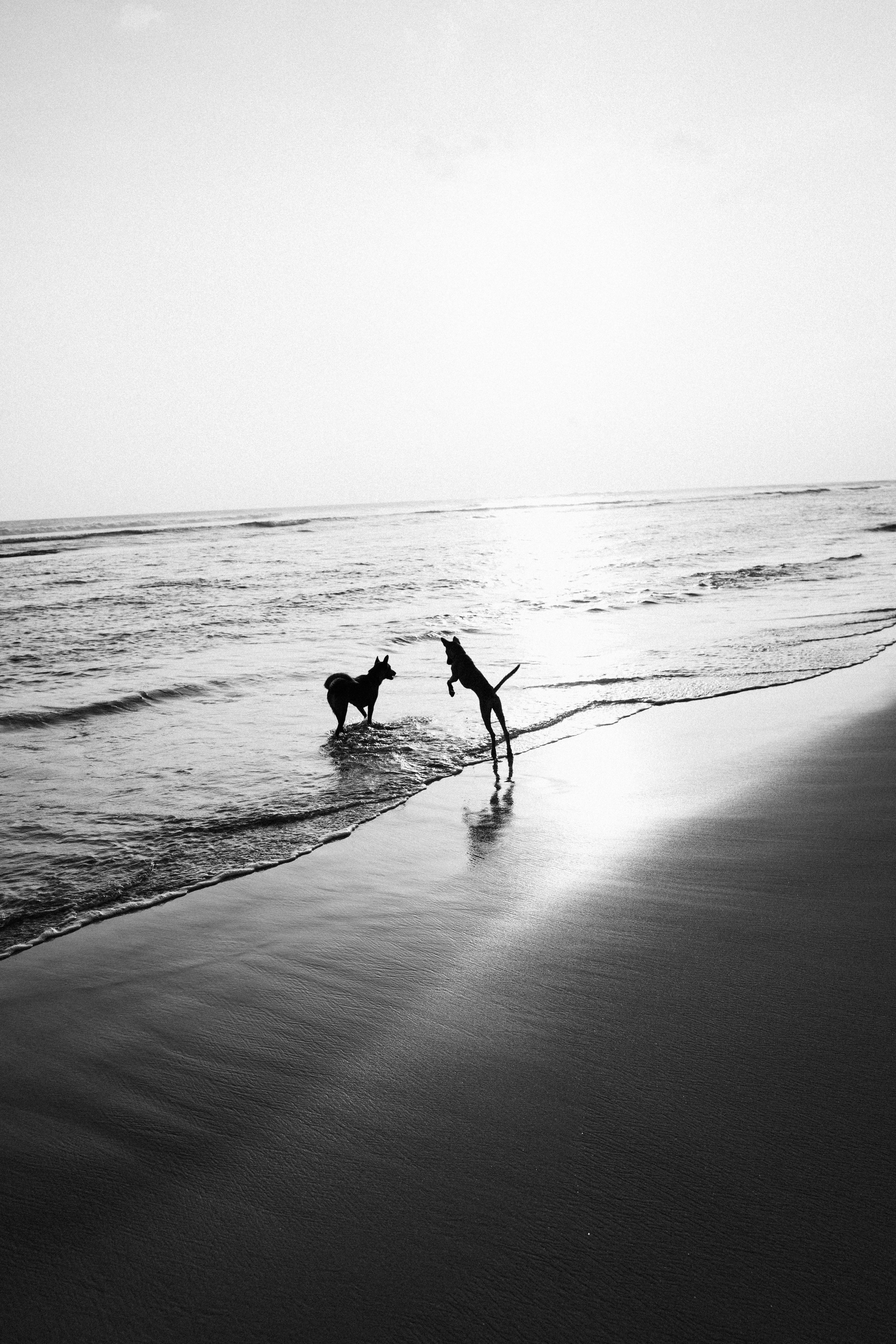 2024 Doux - Sri Lanka - Ahangama - 0063 - Cedou.jpg