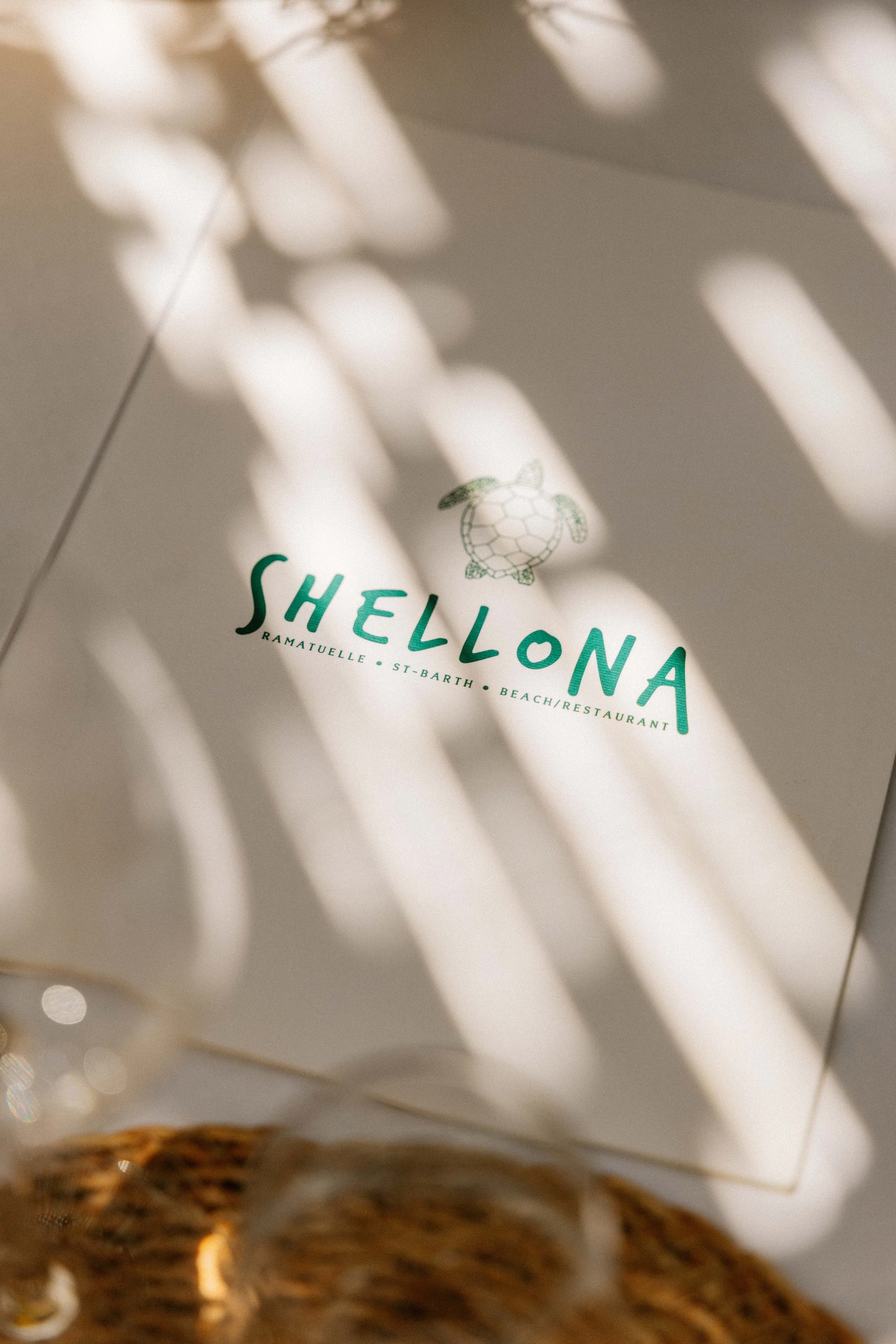 250612 Shellona -0364 - Cedou.jpg