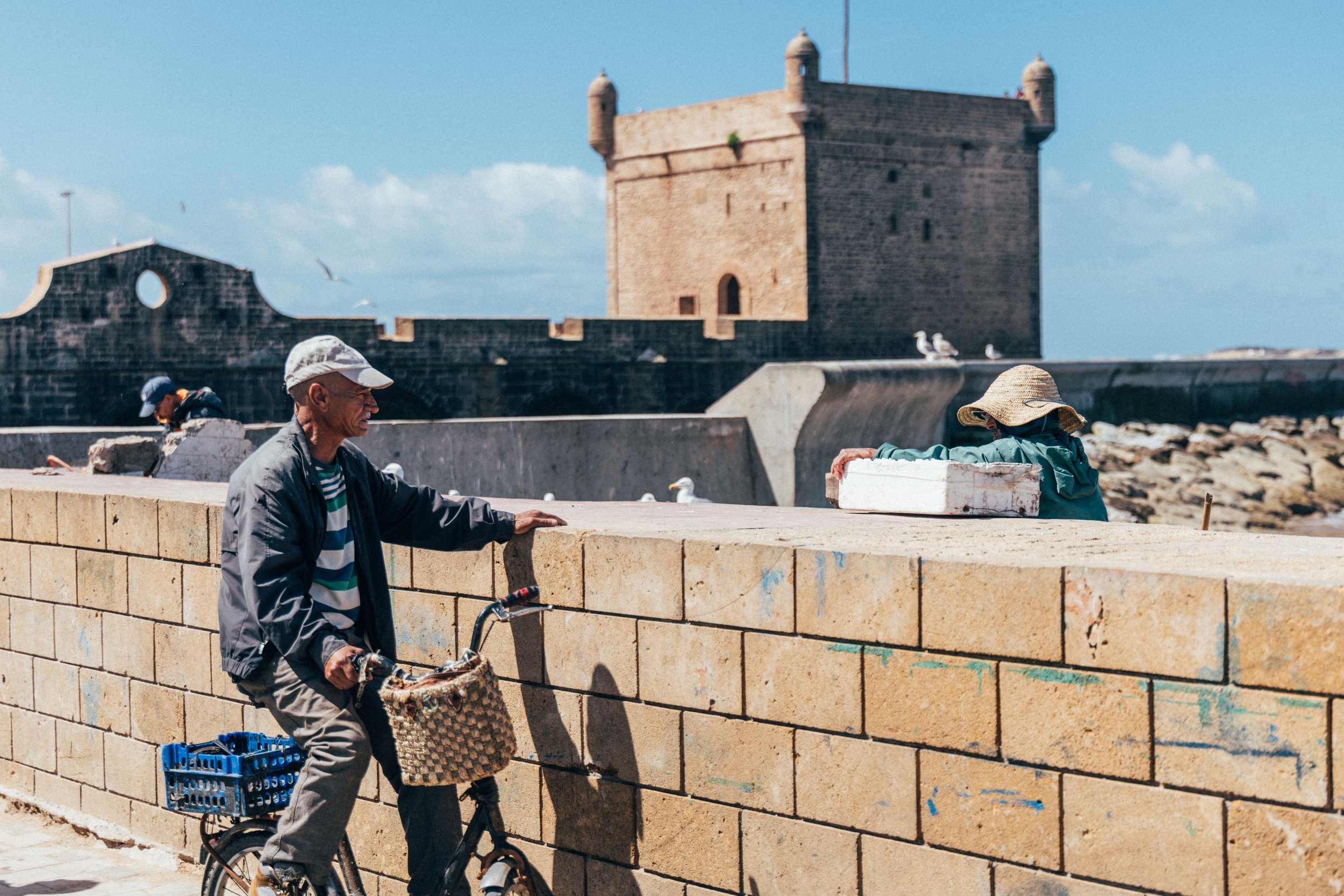 250315 Maroc0154 - Cedou.jpg