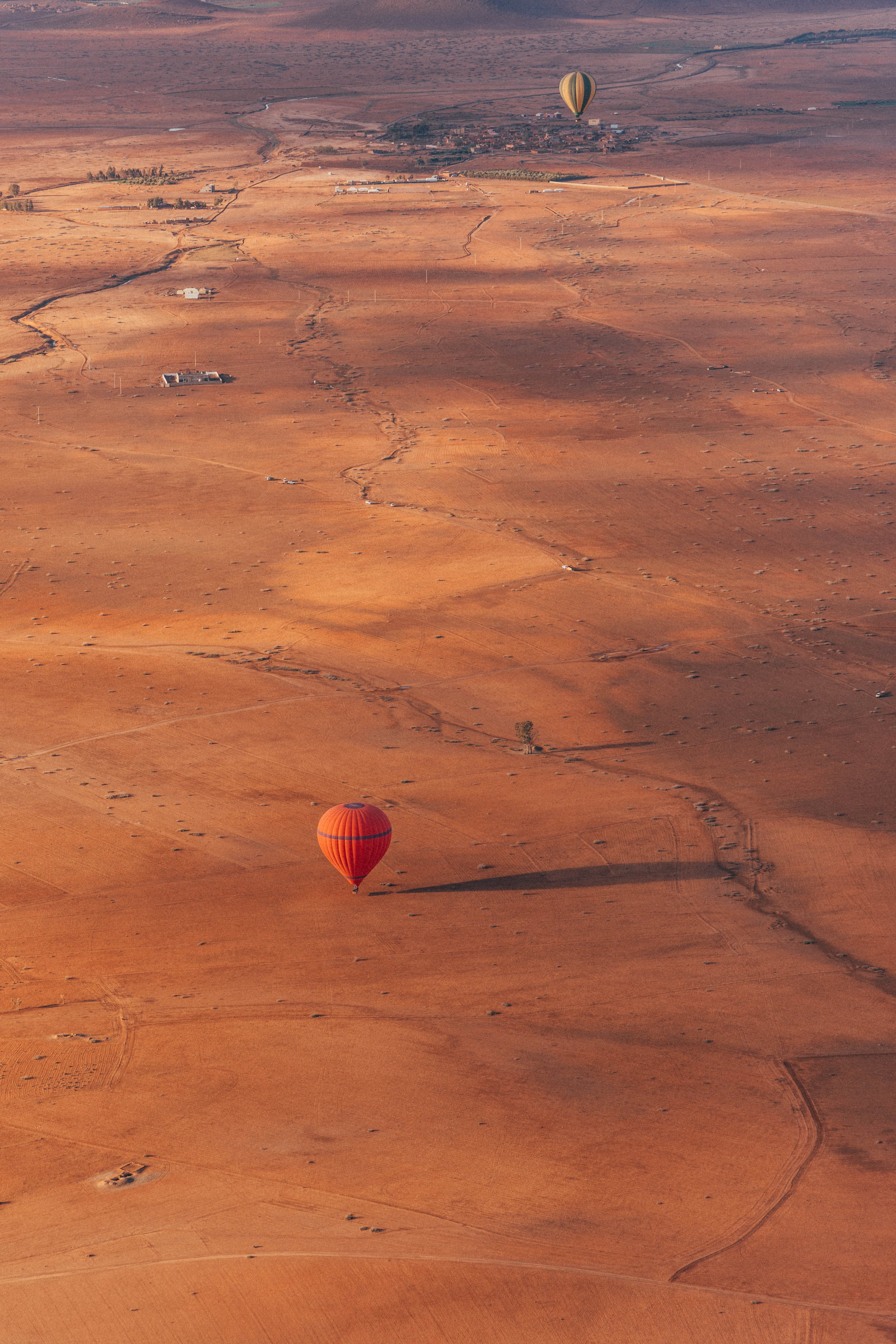 250315 Maroc0296 - Cedou.jpg