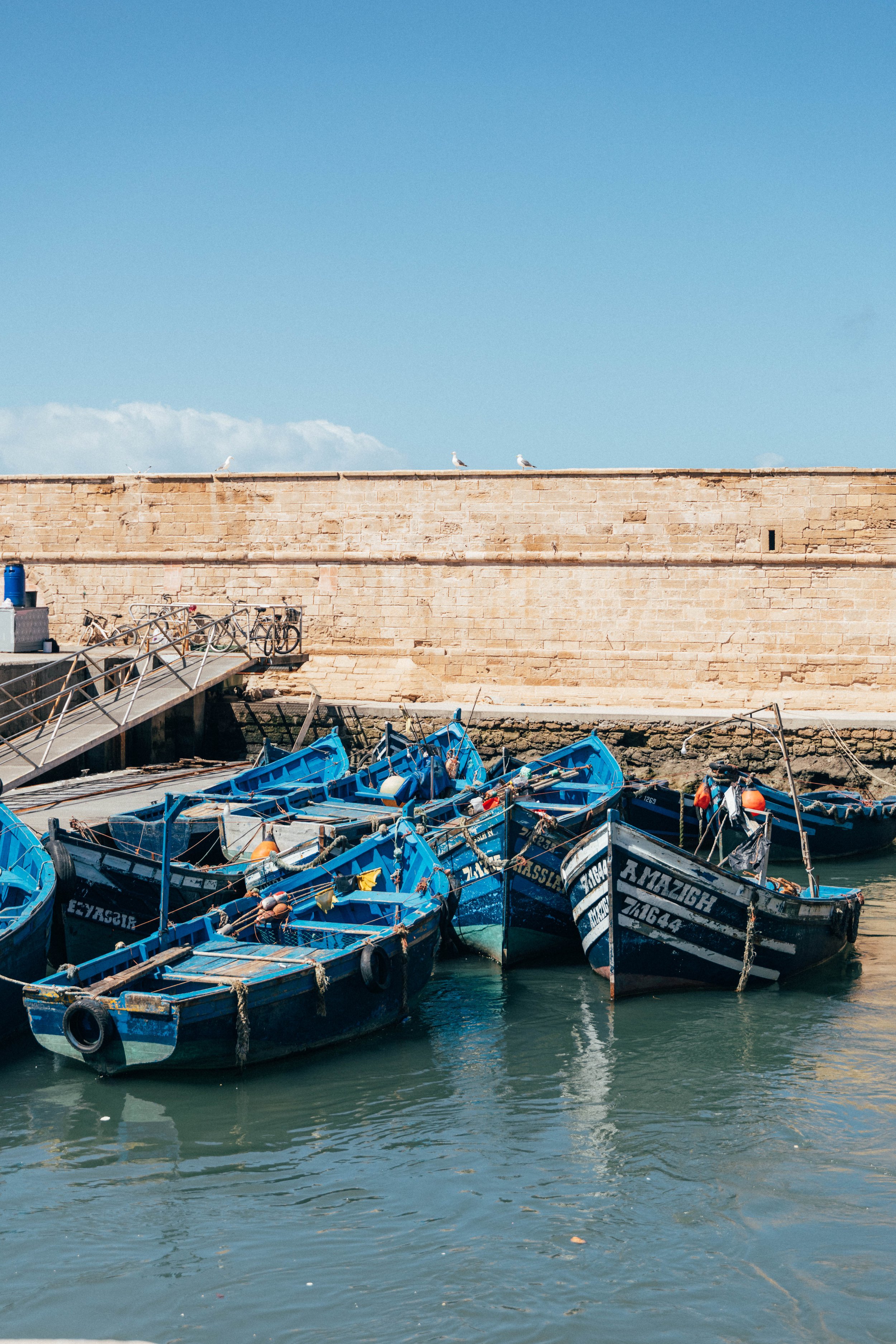 250315 Maroc0147 - Cedou.jpg