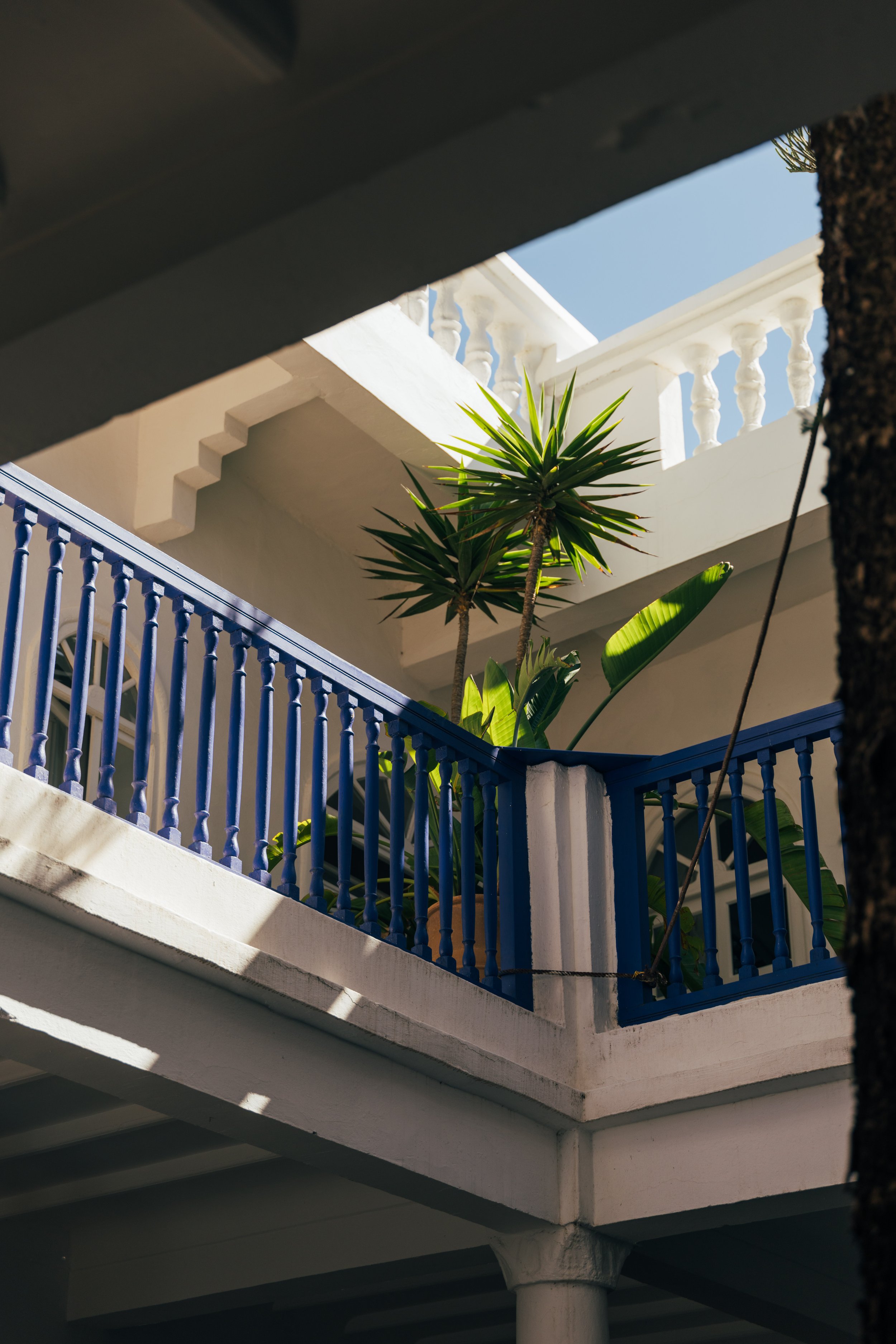250315 Maroc0087 - Cedou.jpg