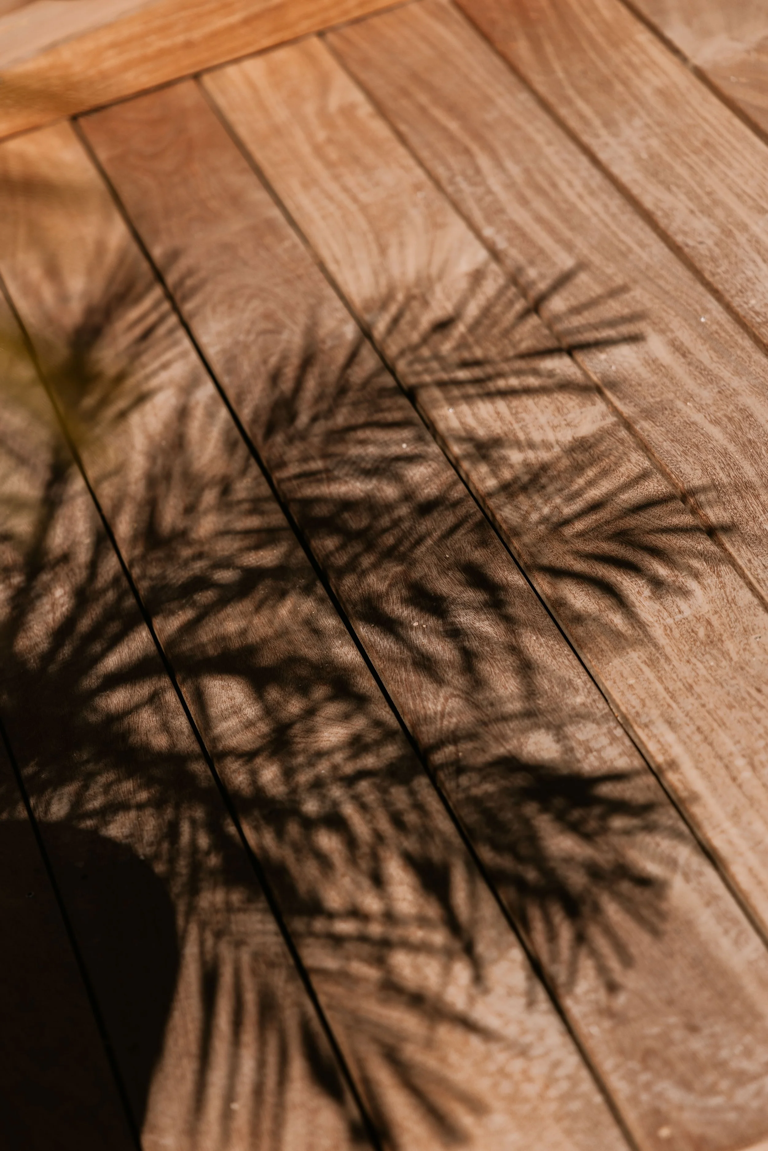 250515 Casa Soleia -0050 - Cedou.jpg