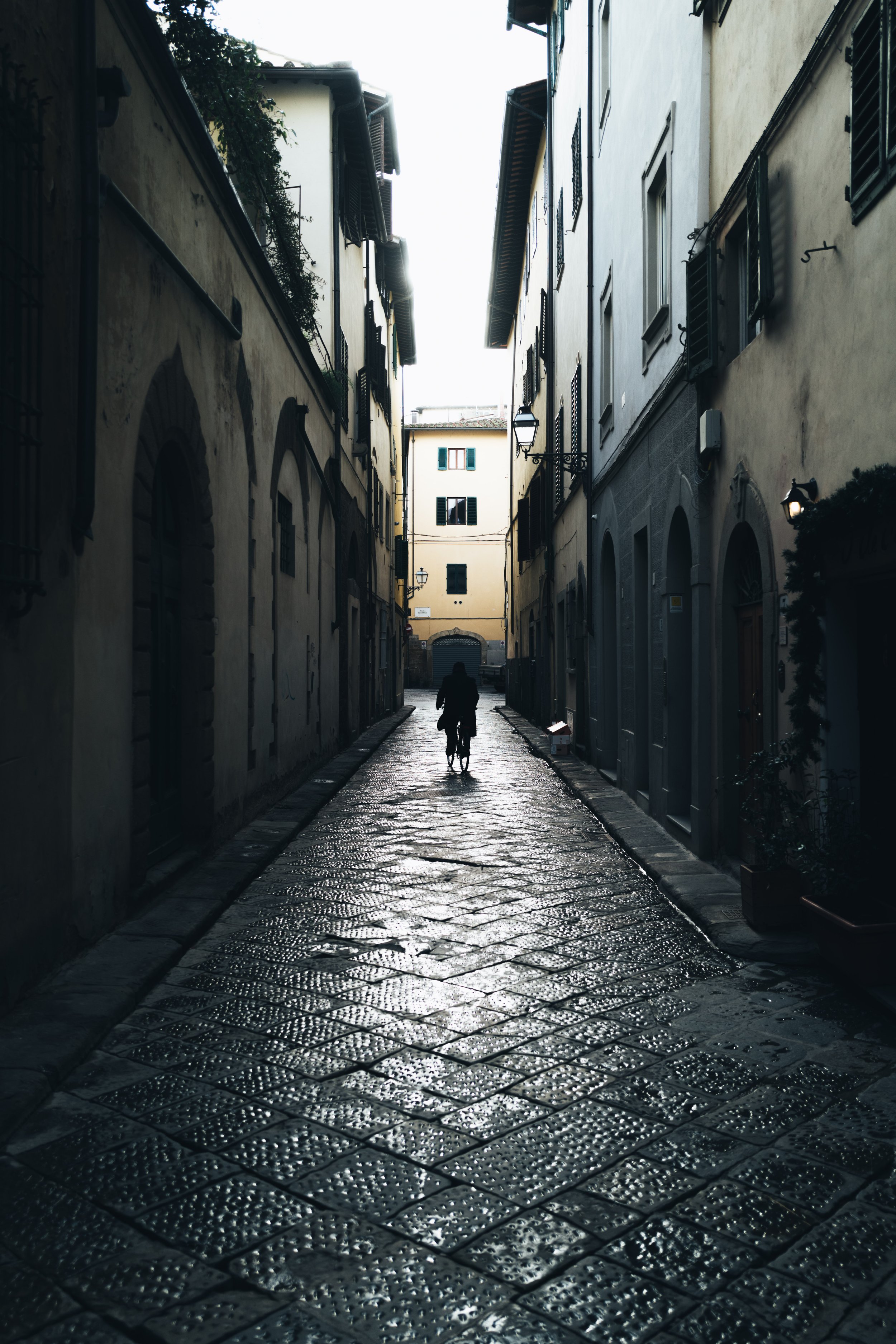 2024 Doux - Florence - 0095 - Cedou.jpg
