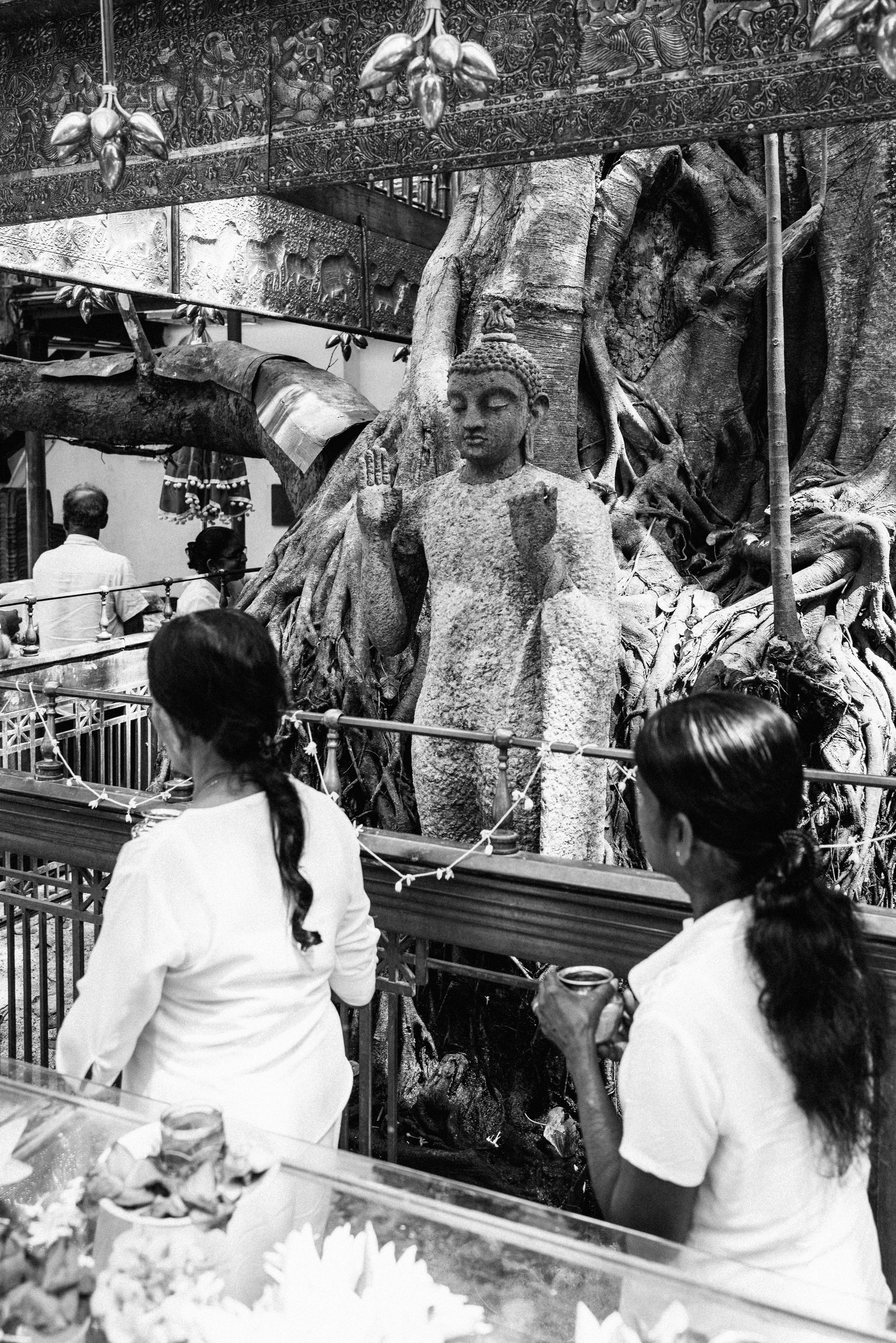 2024 Doux - Sri Lanka - Colombo - 0037 - Cedou.jpg