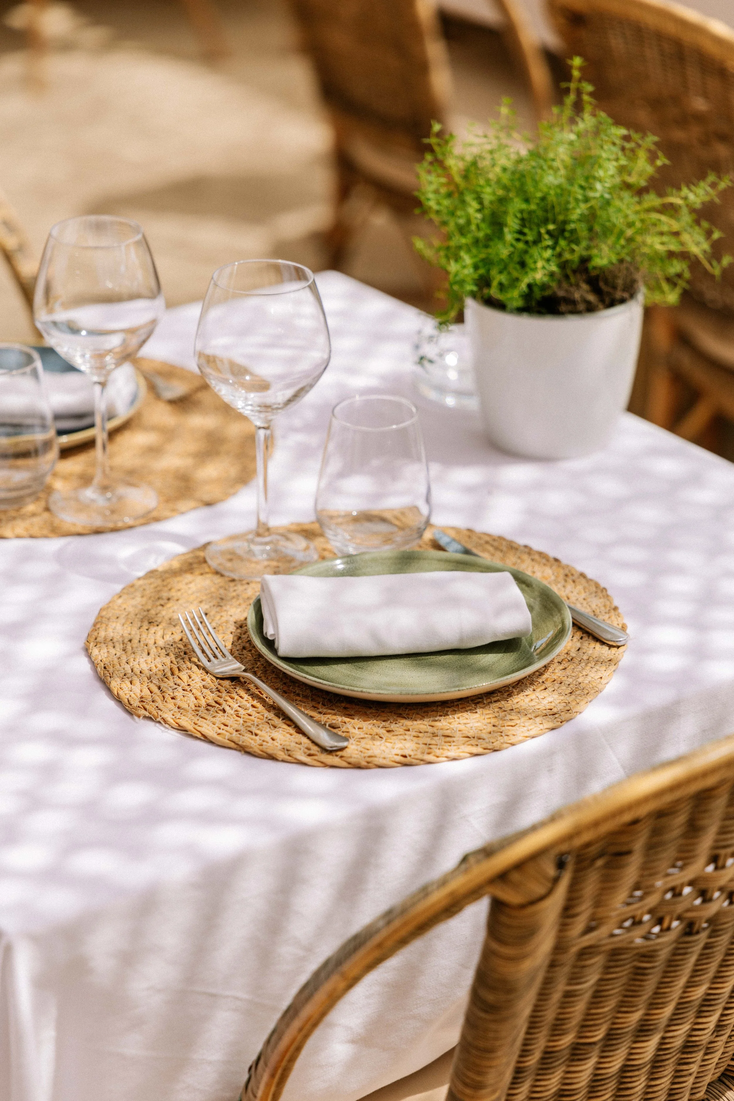 250612 Shellona -0176 - Cedou.jpg