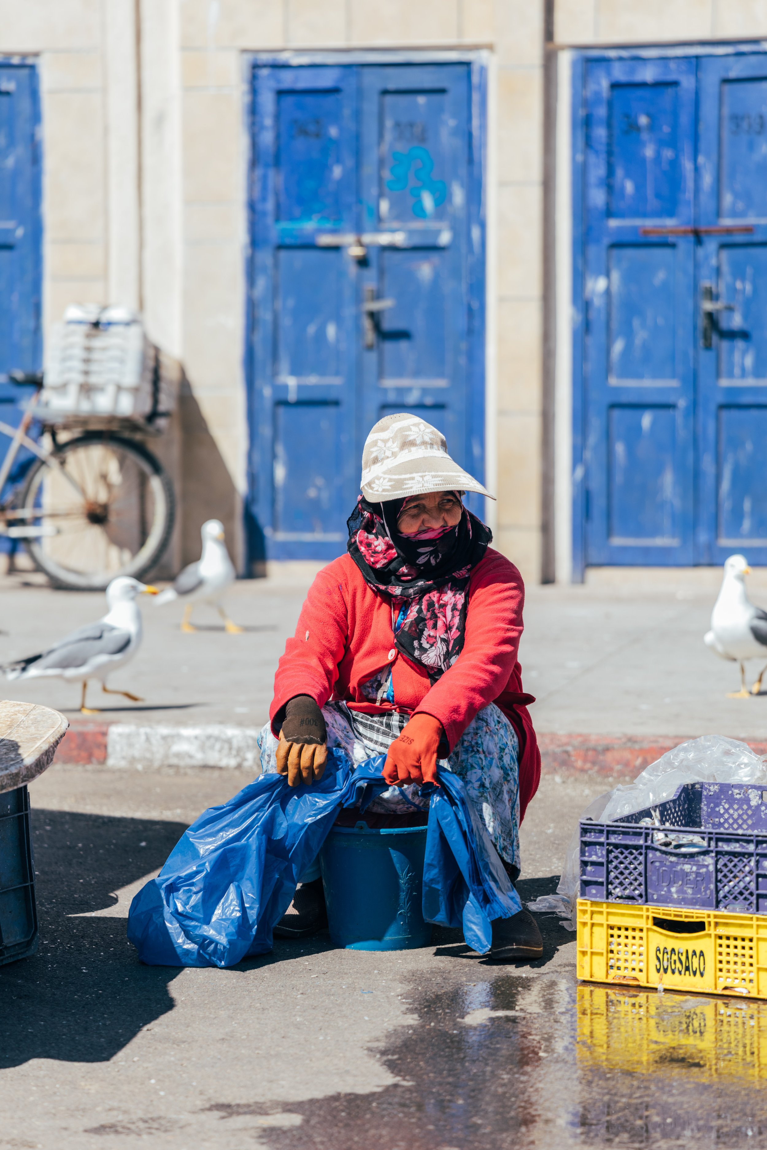250315 Maroc0121 - Cedou.jpg