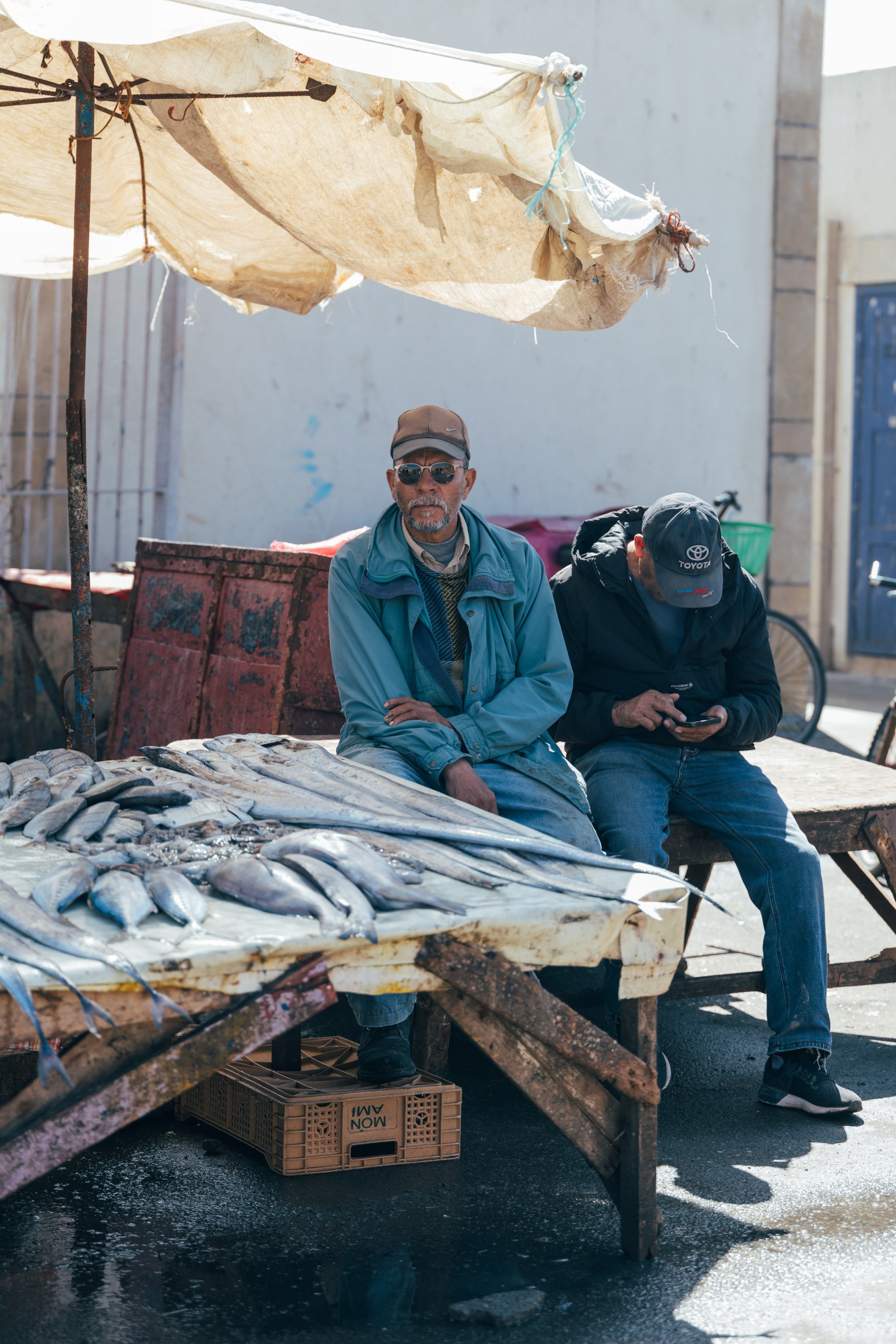 250315 Maroc0111 - Cedou.jpg