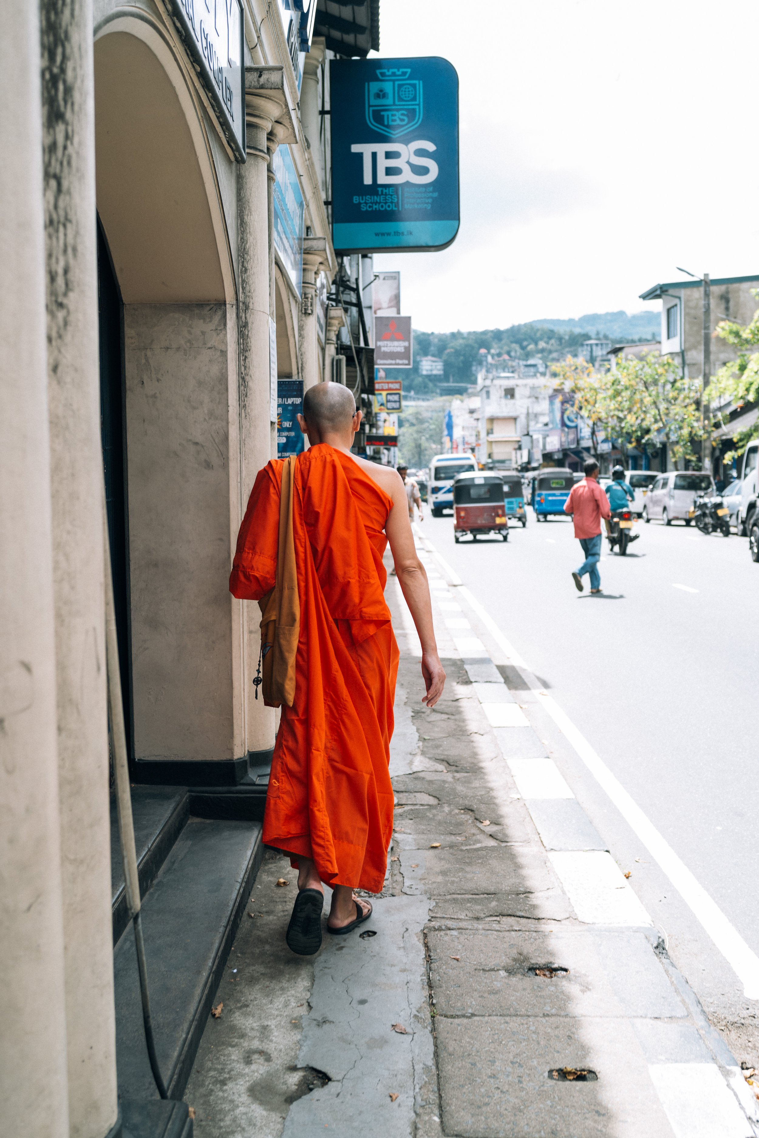 2024 Doux - Sri Lanka - Kandy - 0033 - Cedou.jpg